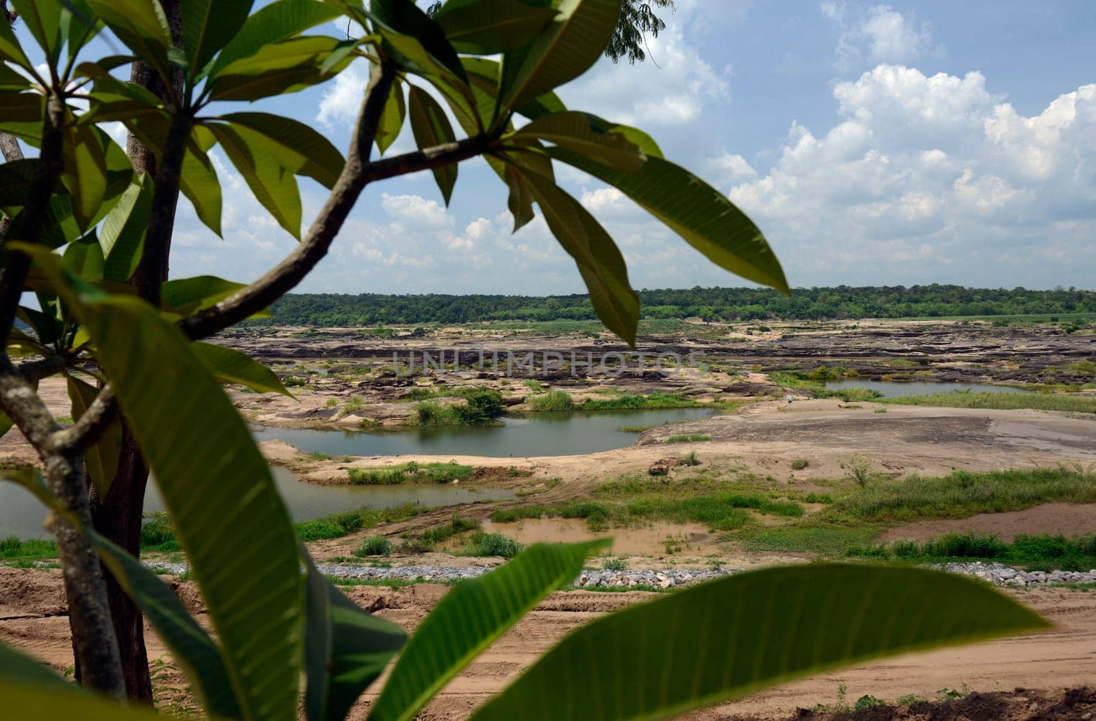 The stone landscape in the Mekong River of the Natural Park Sam Phan Bok near Lakhon Pheng on the Mekong River in the province of Amnat Charoen northwest of Ubon Ratchathani in northeastern Thailand in South East Asia.