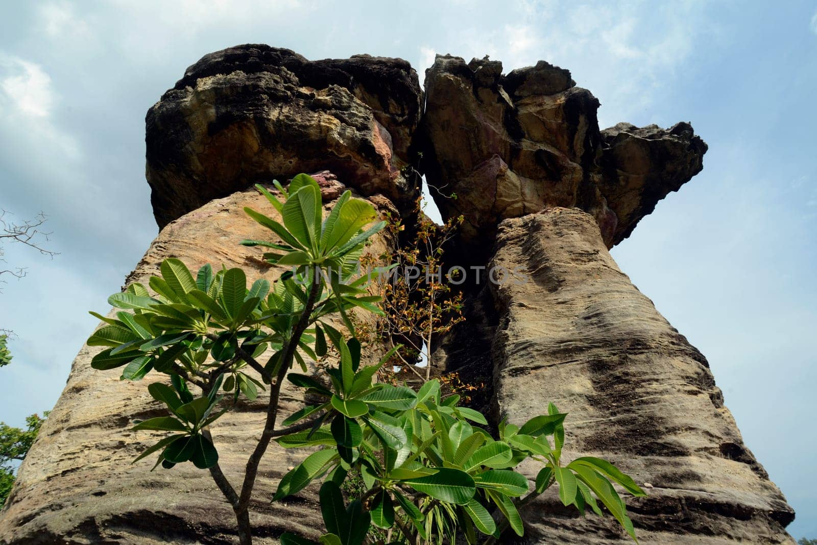 Limestone formations in the Sam Phan Bok Natural Park near Lakhon Pheng on the Mekong River in Amnat Charoen Province northwest of Ubon Ratchathani in northeastern Thailand in South East Asia.