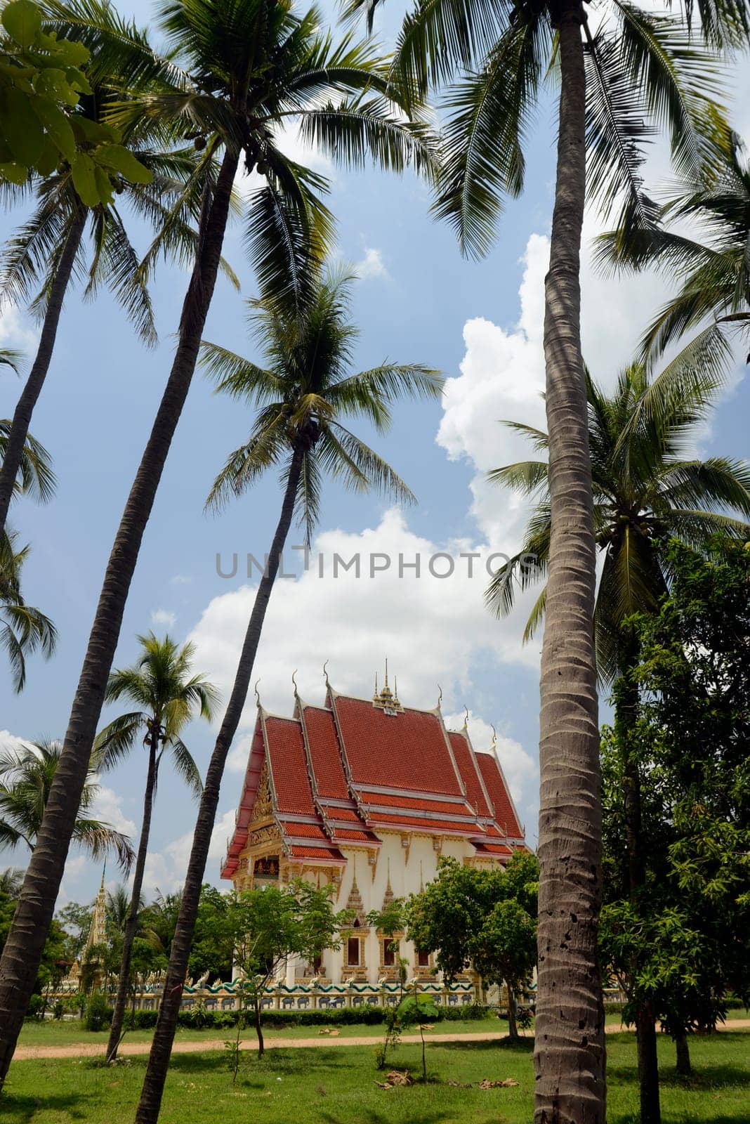 The temple Wat Pak Saeng near Lakhon Pheng on the Mekong River in Amnat Charoen province northwest of Ubon Ratchathani in northeastern Thailand in South East Asia.