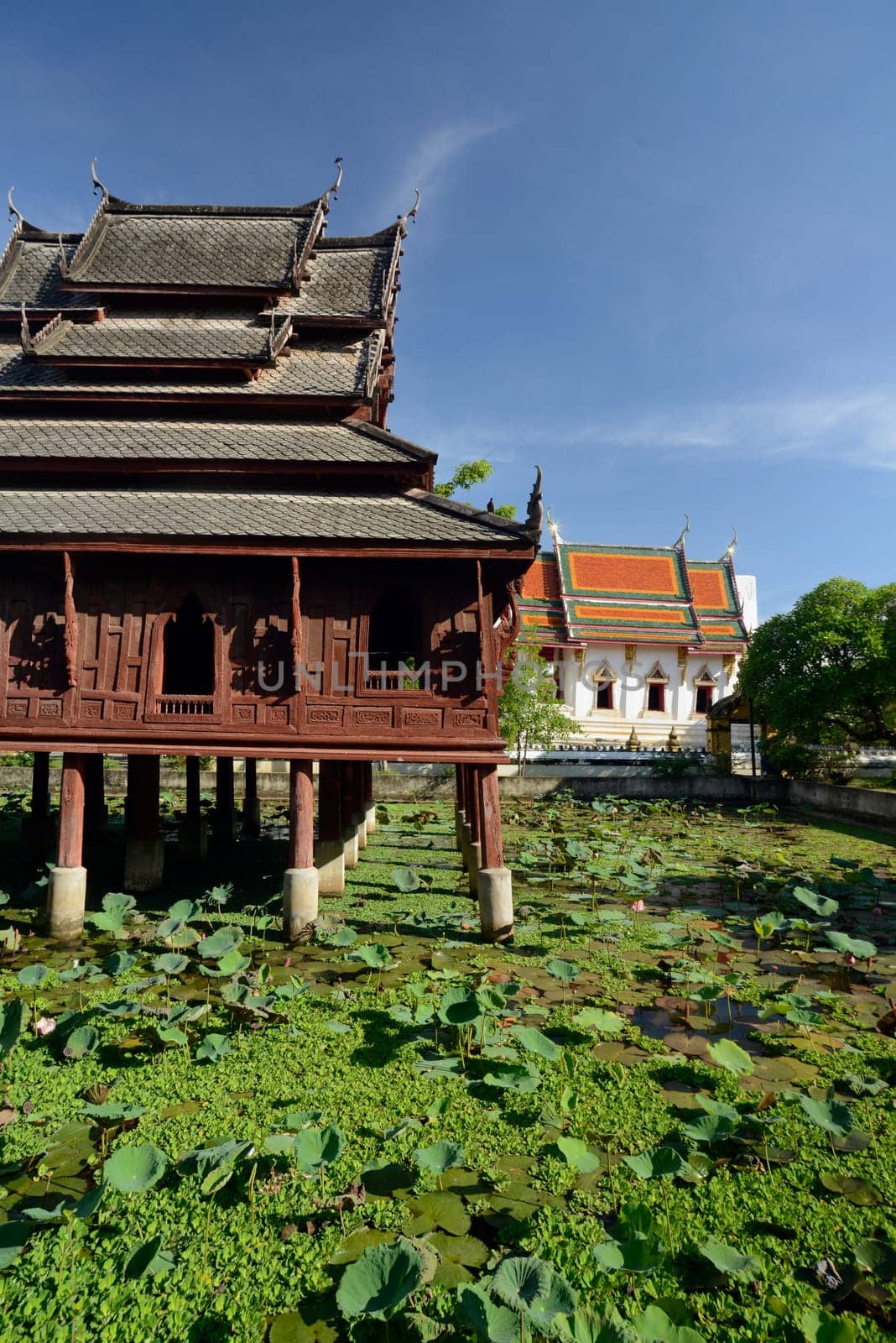 The temple Wat Thung Si Meuang in the city of Ubon Ratchathani in northeastern Thailand in South East Asia.