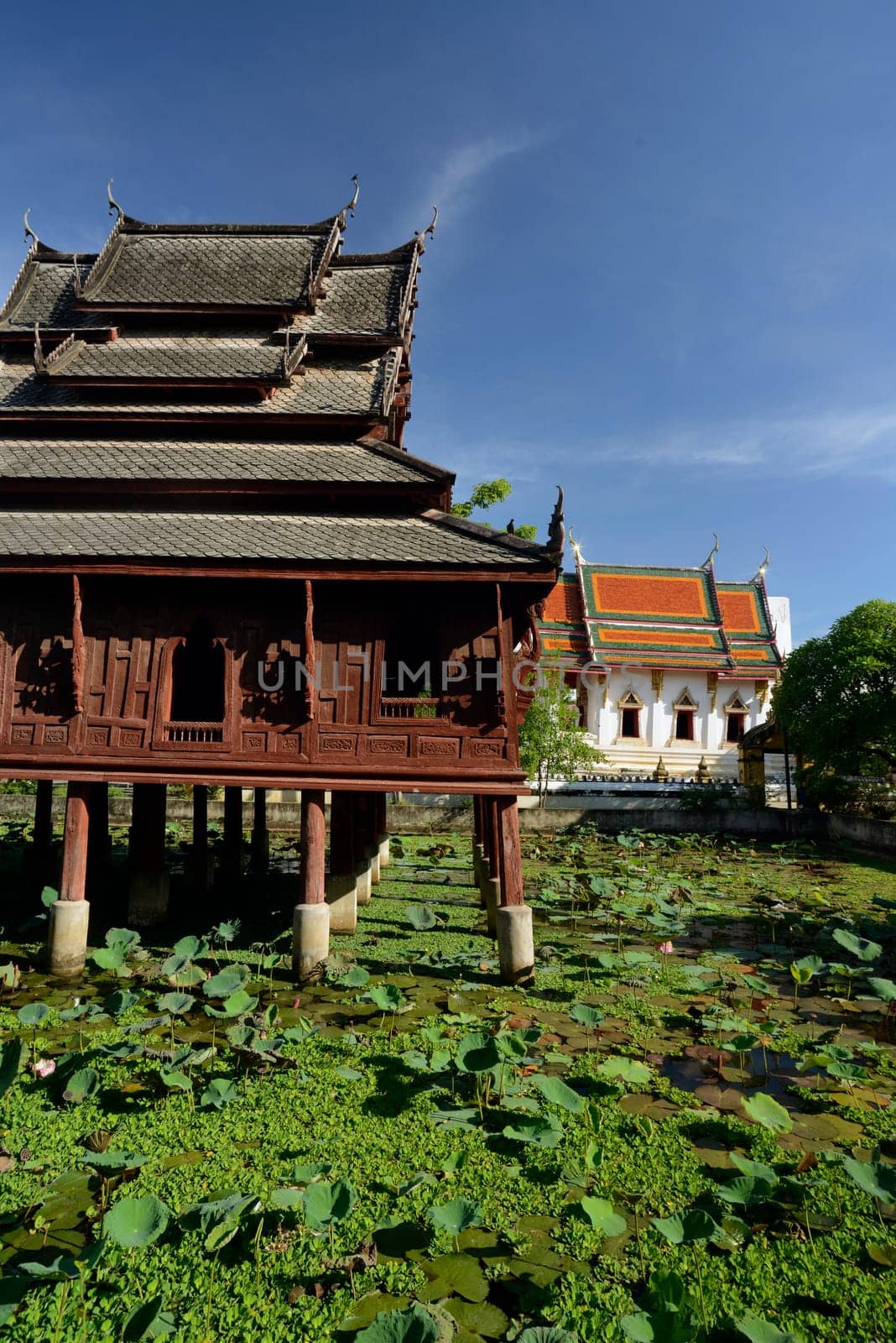 The temple Wat Thung Si Meuang in the city of Ubon Ratchathani in northeastern Thailand in South East Asia.