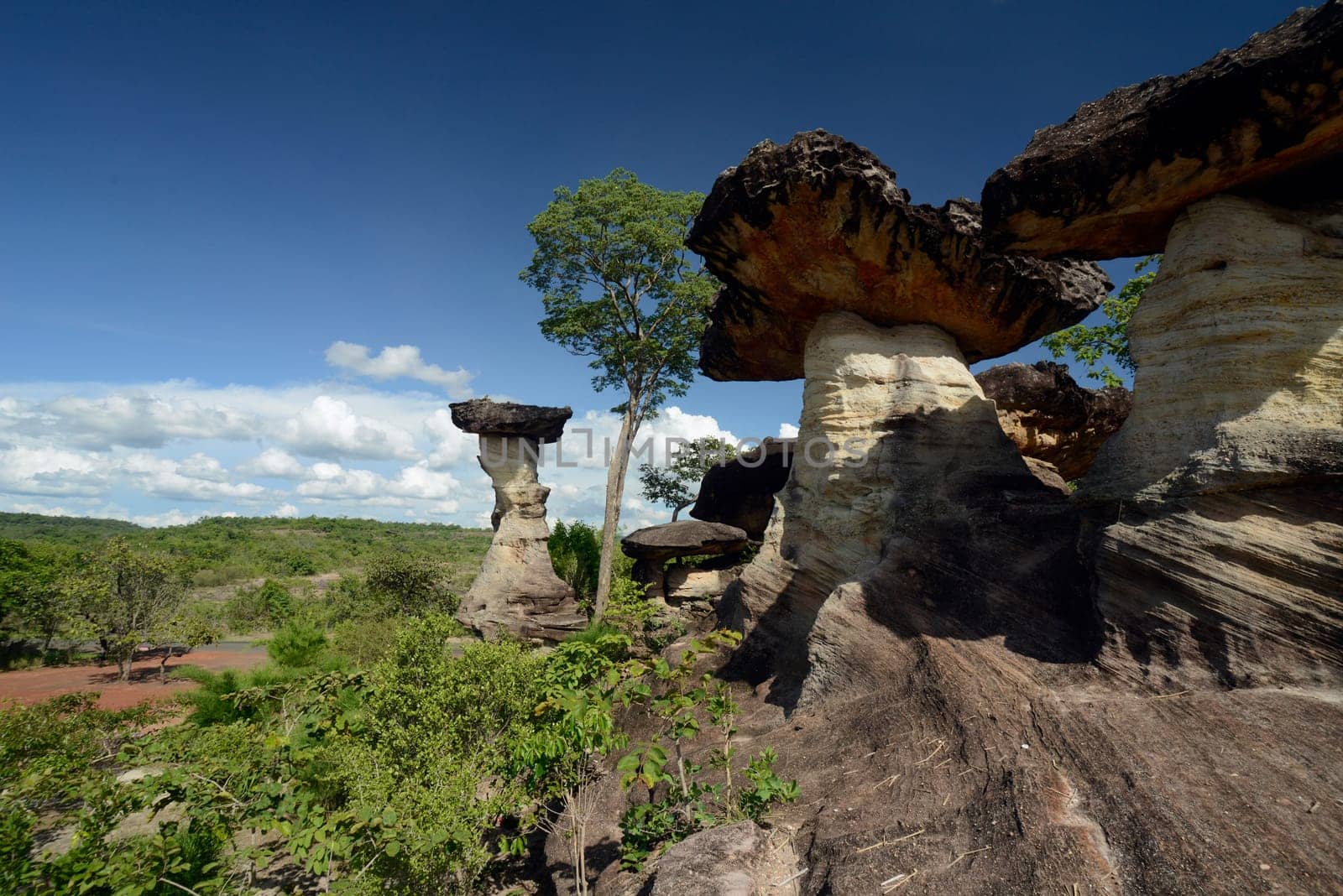 The landscape and mushroom slacks in Pha Taem National Park near Ubon Ratchathani in northeastern Thailand in South East Asia.