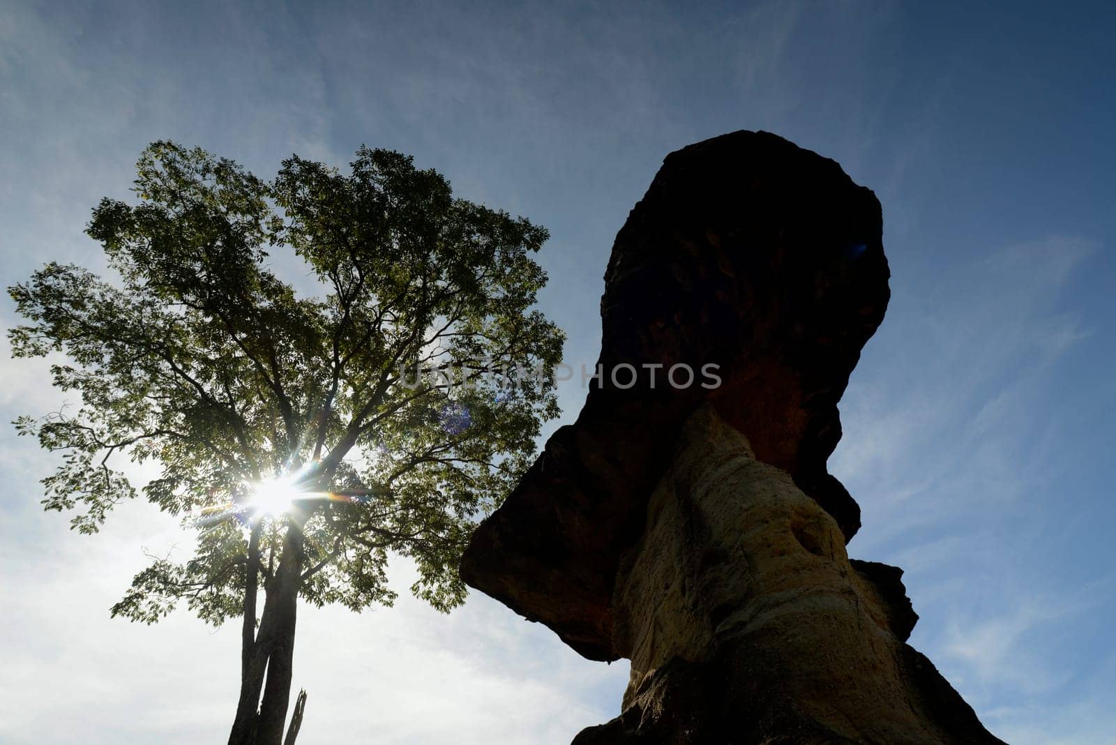 The landscape and mushroom slacks in Pha Taem National Park near Ubon Ratchathani in northeastern Thailand in South East Asia.