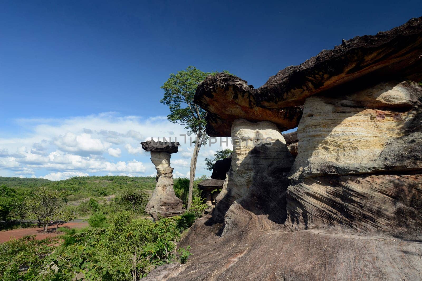 The landscape and mushroom slacks in Pha Taem National Park near Ubon Ratchathani in northeastern Thailand in South East Asia.