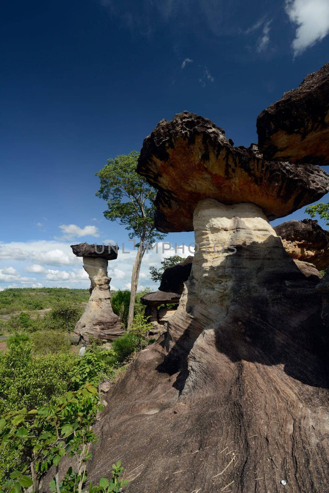 The landscape and mushroom slacks in Pha Taem National Park near Ubon Ratchathani in northeastern Thailand in South East Asia.