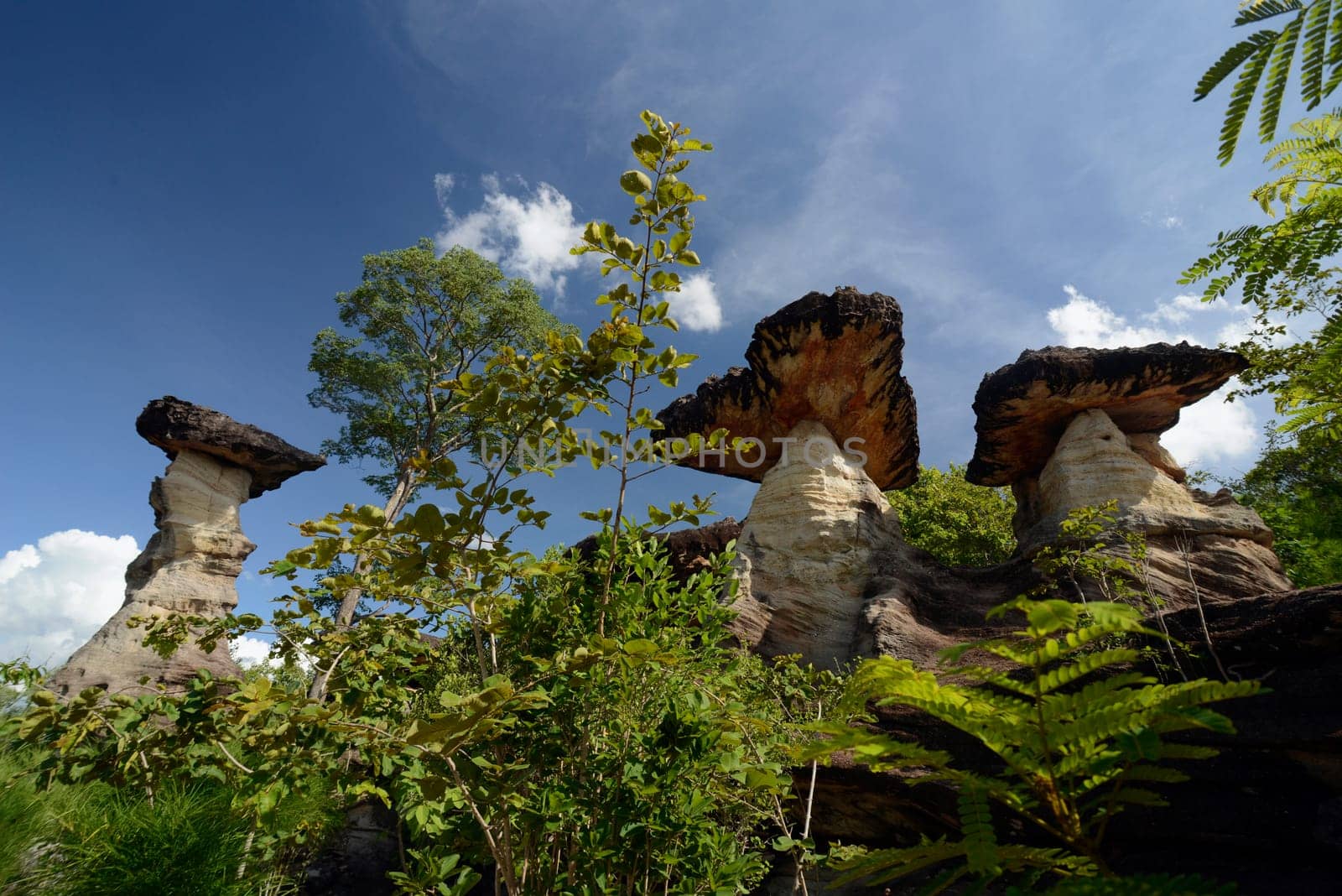 The landscape and mushroom slacks in Pha Taem National Park near Ubon Ratchathani in northeastern Thailand in South East Asia.