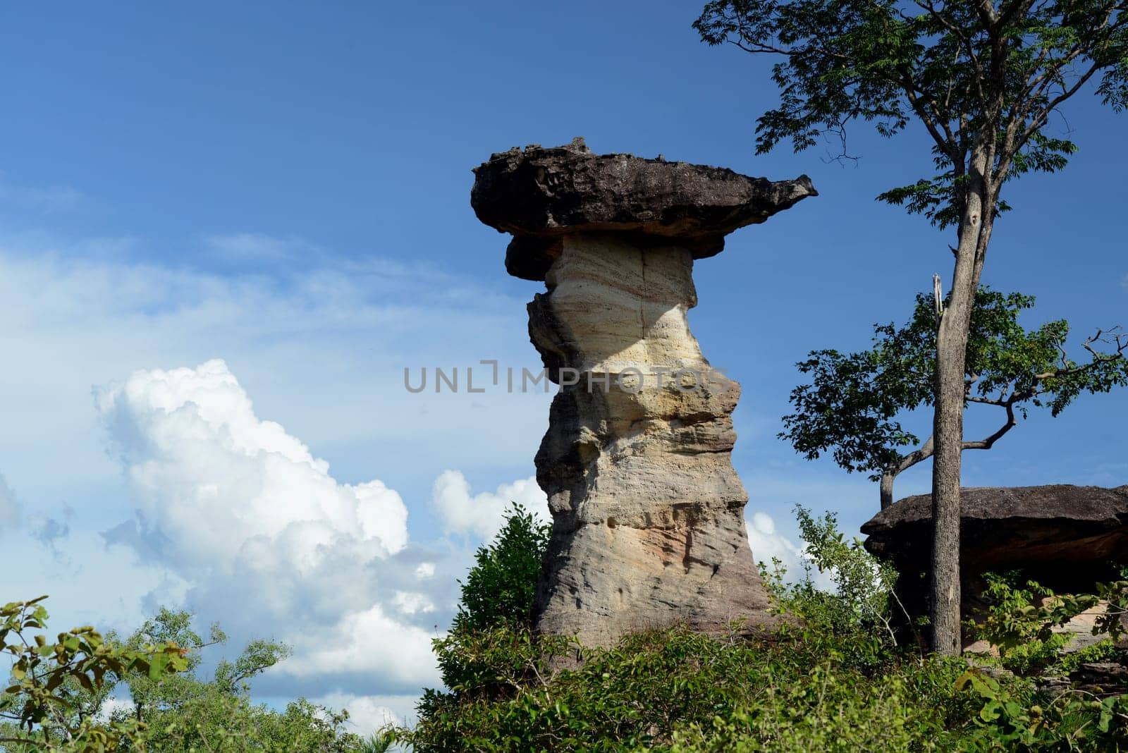 The landscape and mushroom slacks in Pha Taem National Park near Ubon Ratchathani in northeastern Thailand in South East Asia.