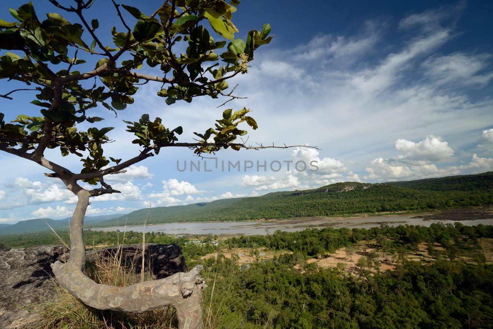 The landscape with views of the Mekong River from Pha Taem National Park at Khong Chiam near Ubon Ratchathani in northeastern Thailand in South East Asia.