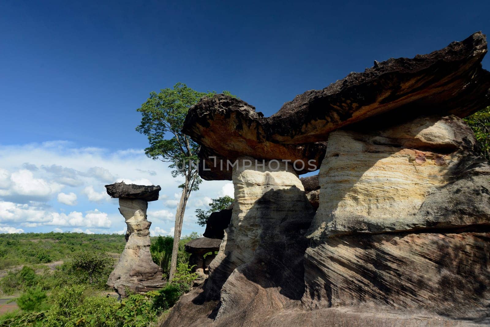 The landscape and mushroom slacks in Pha Taem National Park near Ubon Ratchathani in northeastern Thailand in South East Asia.