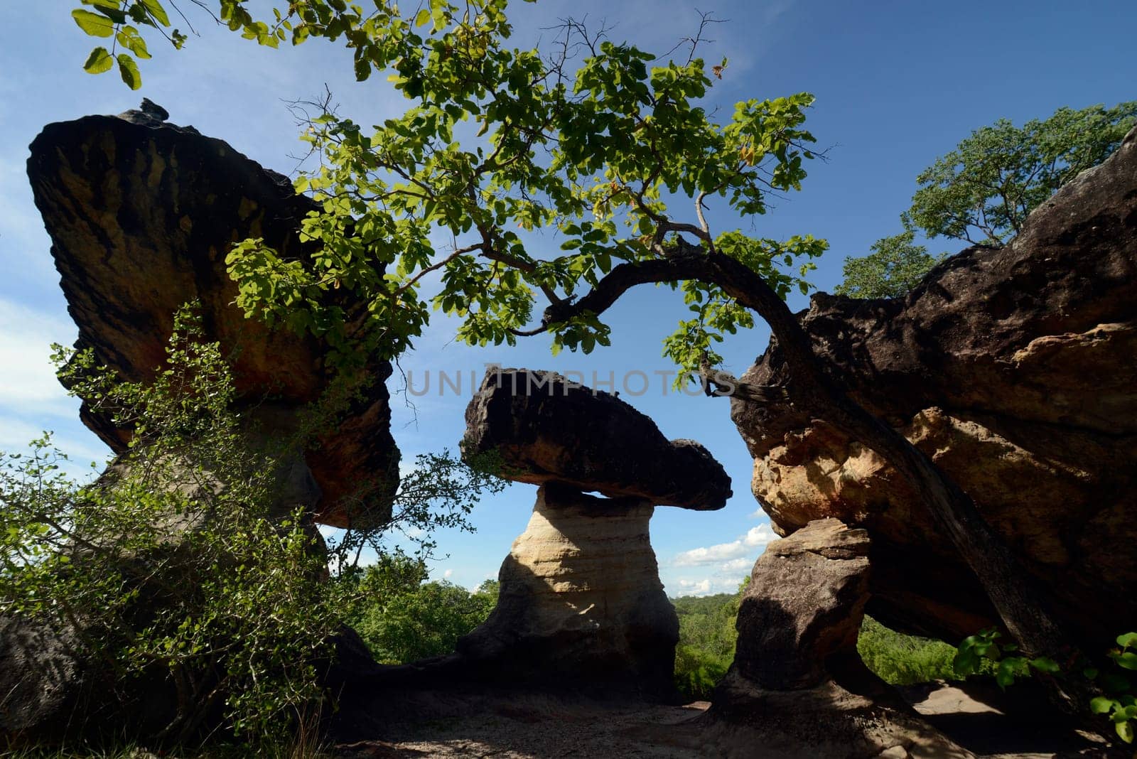 The landscape and mushroom slacks in Pha Taem National Park near Ubon Ratchathani in northeastern Thailand in South East Asia.