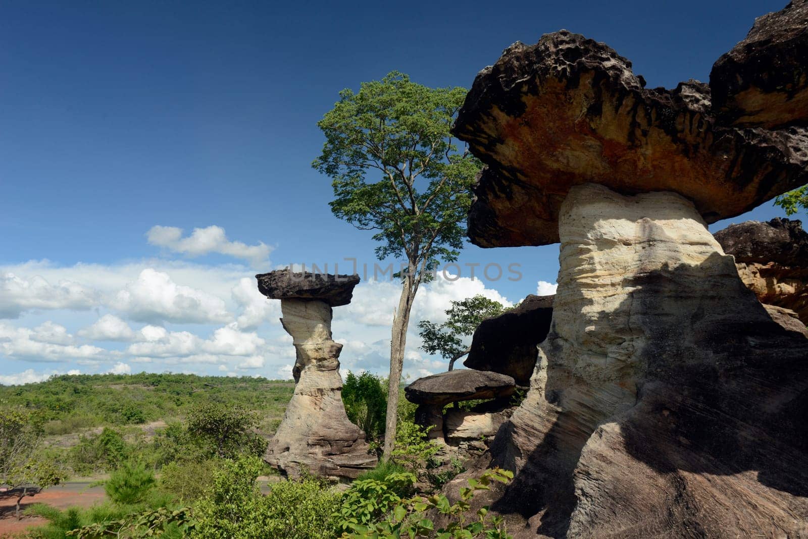 The landscape and mushroom slacks in Pha Taem National Park near Ubon Ratchathani in northeastern Thailand in South East Asia.