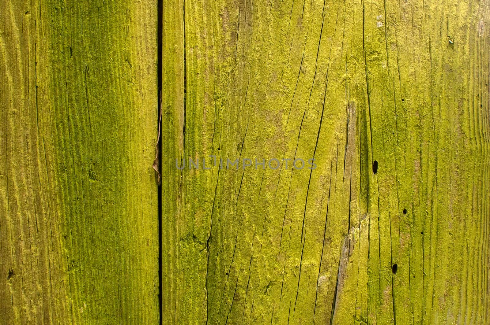 Green-yellow painted wooden board surface closeup as background