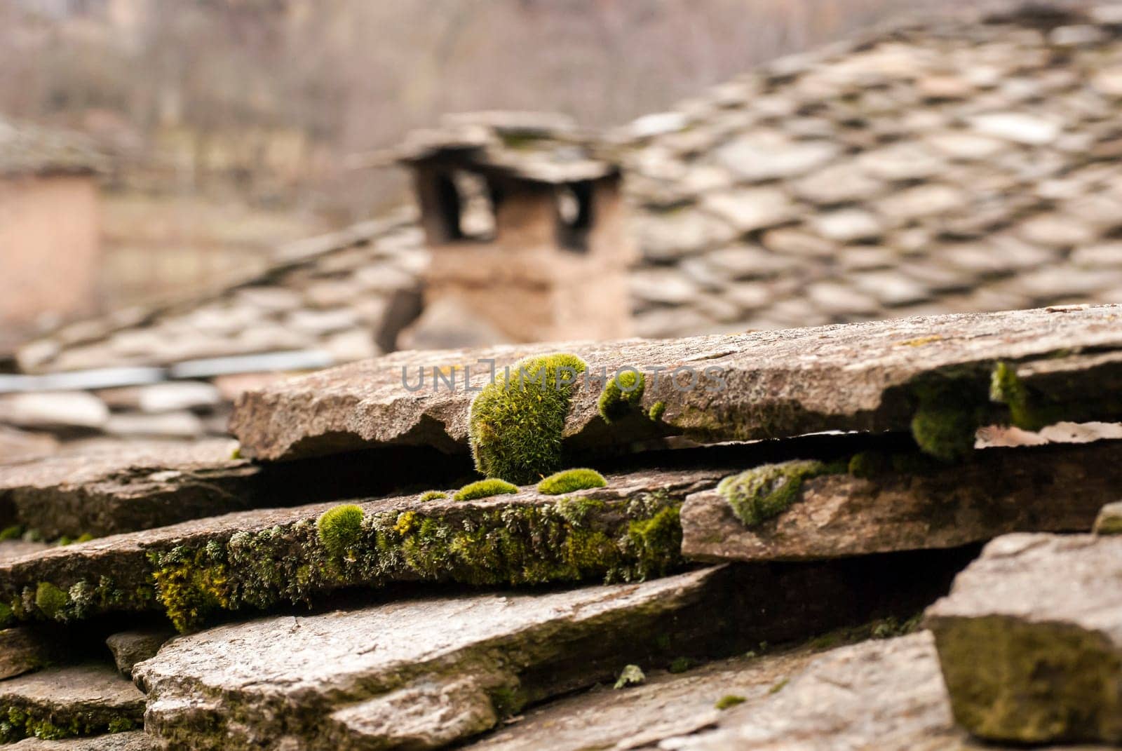Old stone tiles and chimney of slate-roof house with fresh moss closeup
