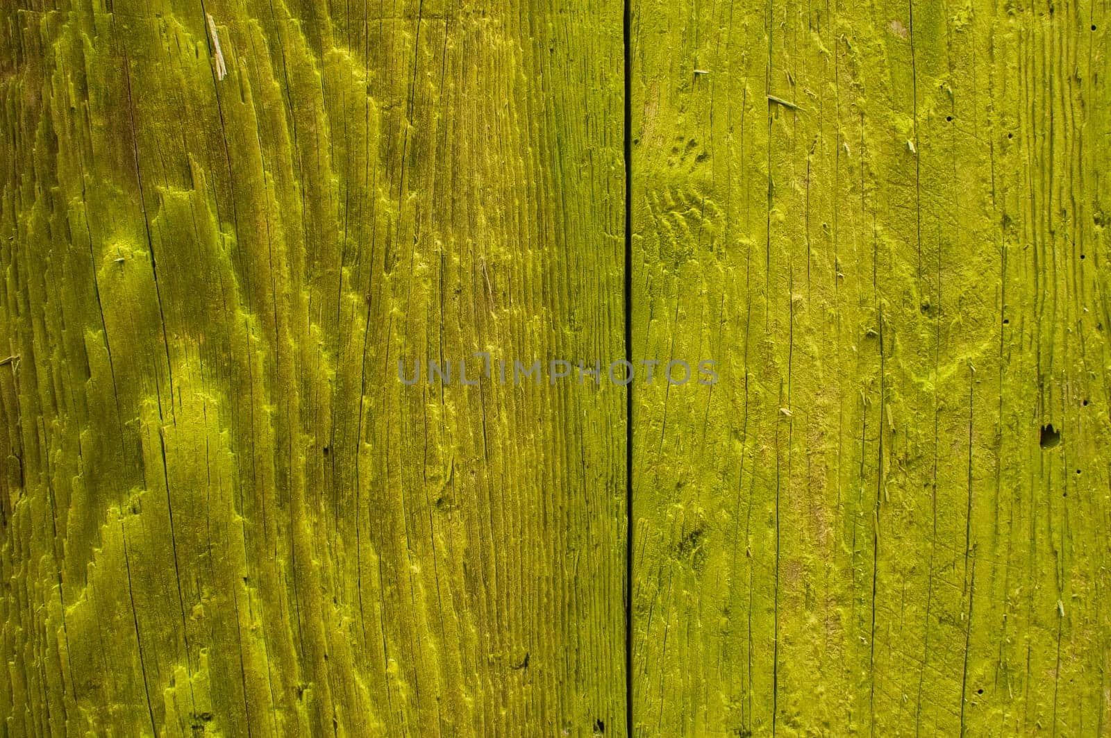 Green-yellow painted wooden board surface closeup as background