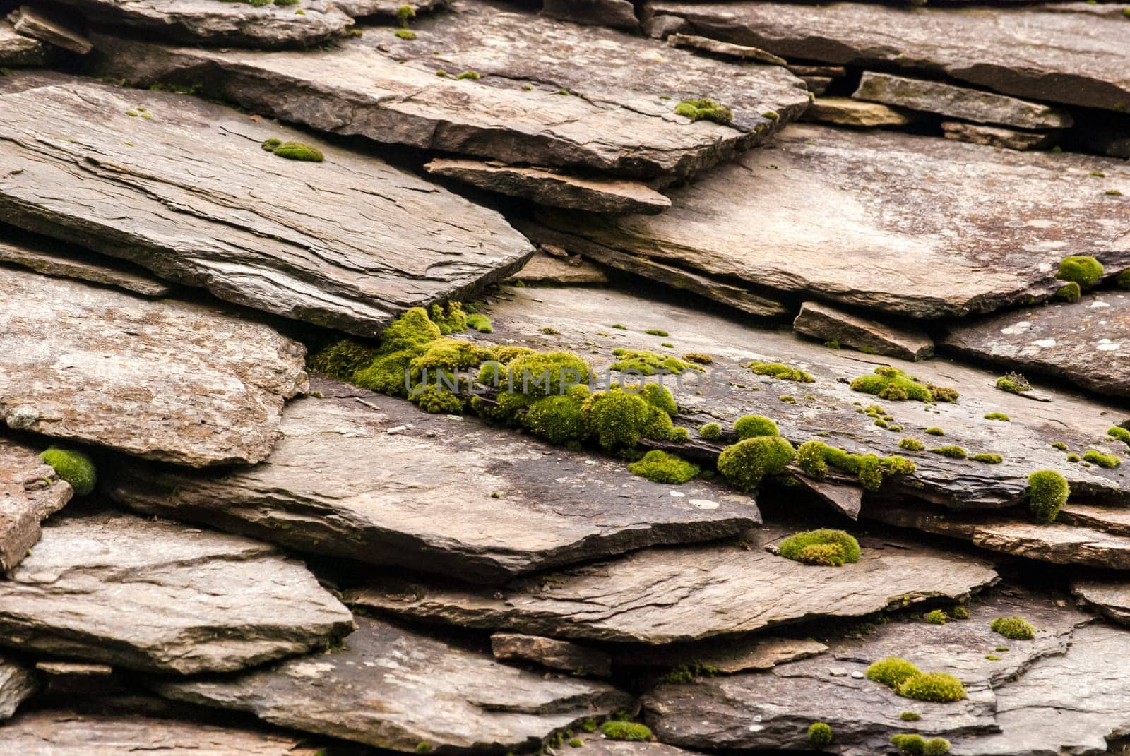 Stone tiles of slate-roof rural house as background