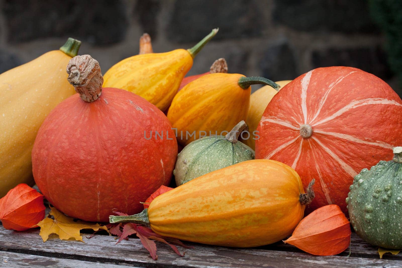 zierkürbis mix