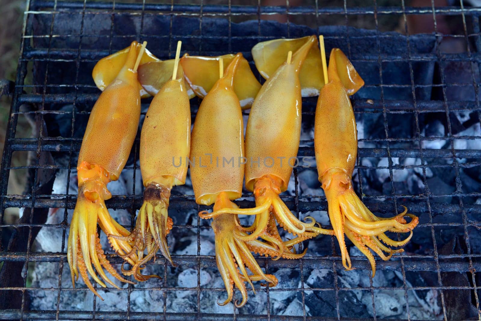 Squids on a barbecue at a folk festival in Amnat Charoen province northwest of Ubon Ratchathani in northeastern Thailand in South East Asia.