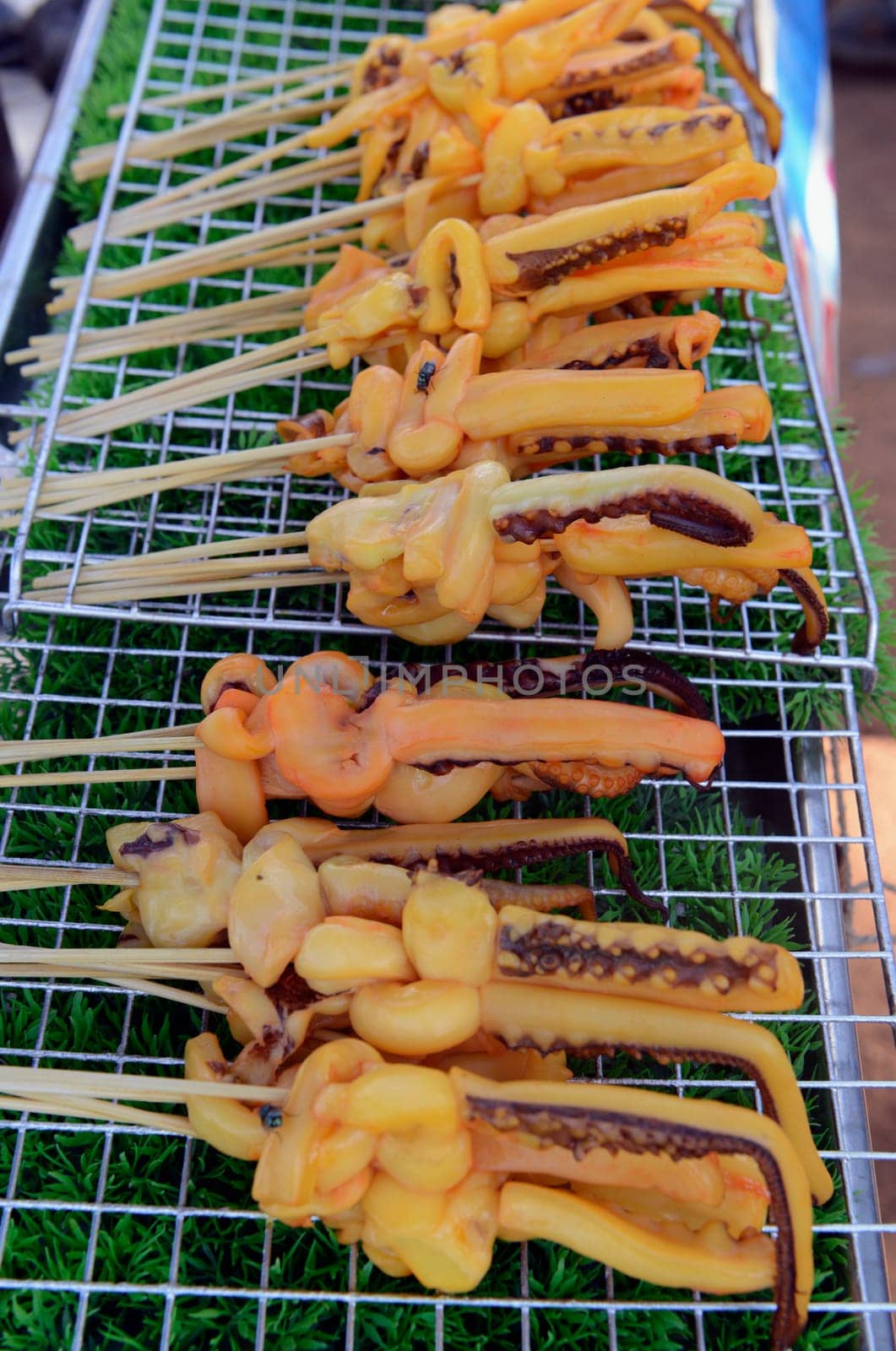 Squids on a barbecue at a folk festival in Amnat Charoen province northwest of Ubon Ratchathani in northeastern Thailand in South East Asia.