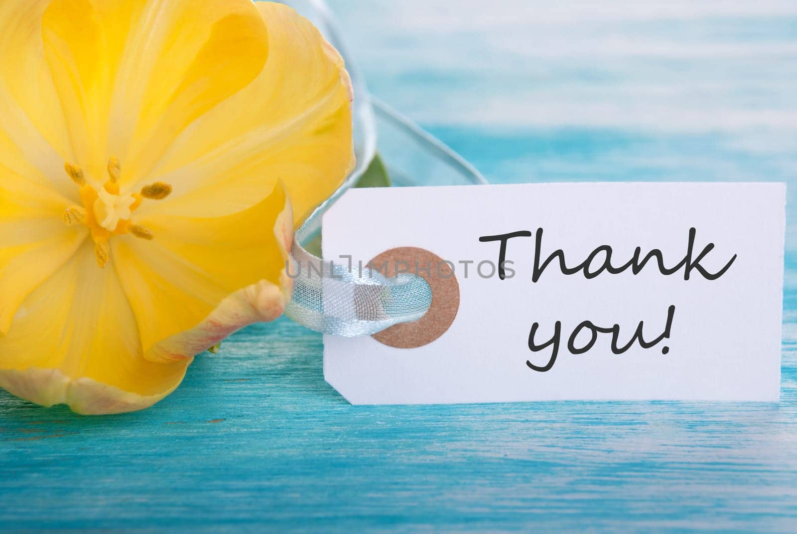 Banner with Thank You on turquoisen Wood with Yellow Tulip Blossom