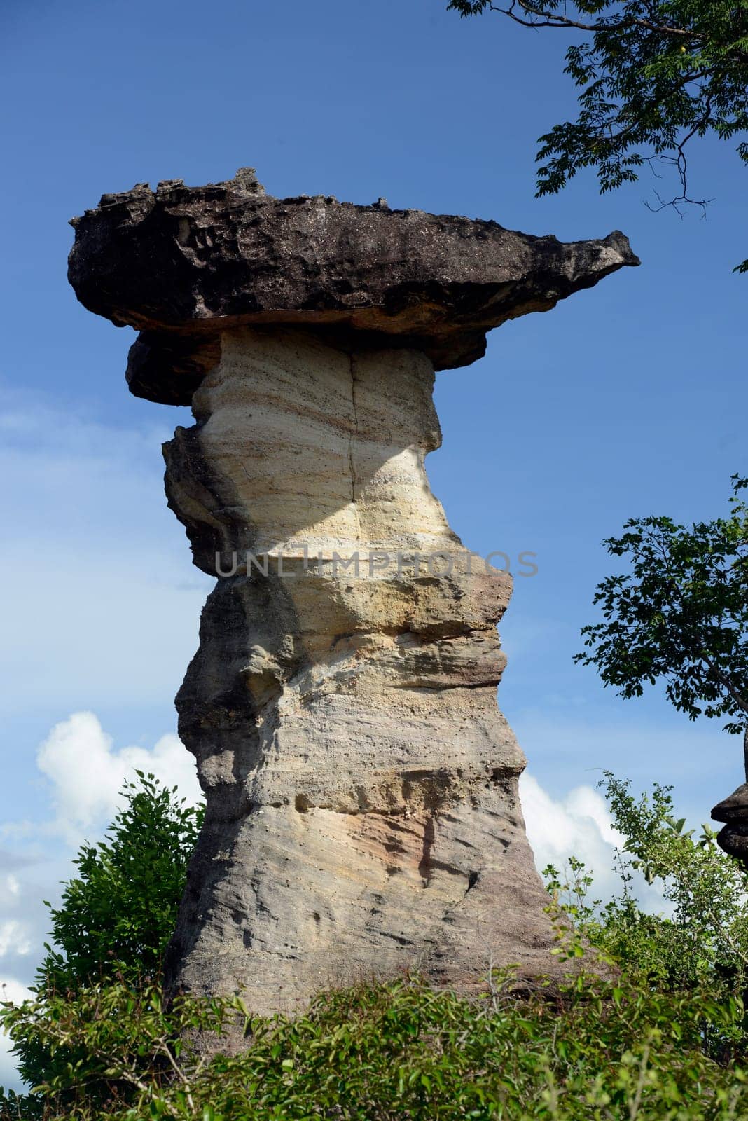 The landscape and mushroom slacks in Pha Taem National Park near Ubon Ratchathani in northeastern Thailand in South East Asia.