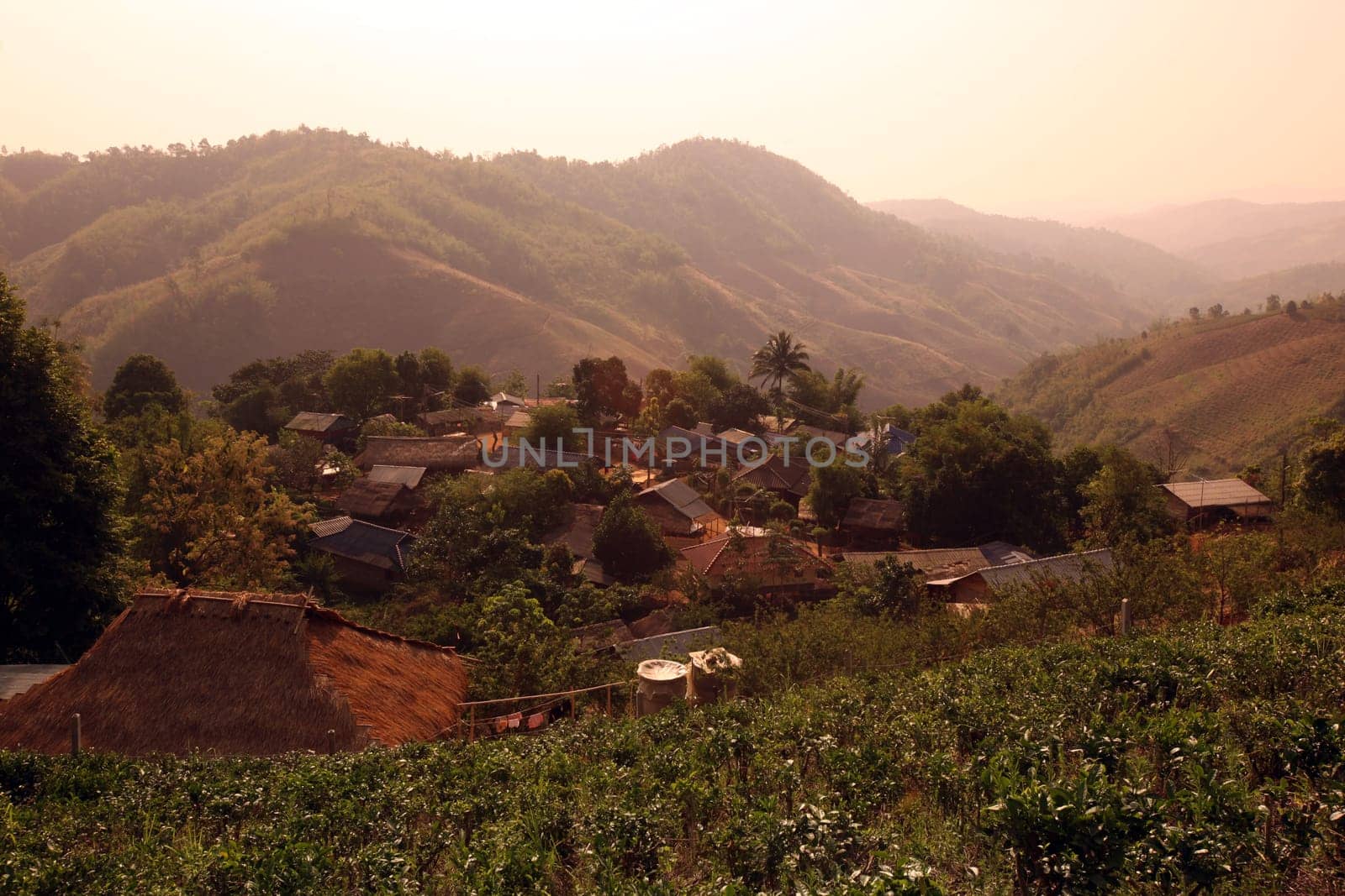 A small village in the countryside near the mountain village of Mae Salong in the hilly landscape of Chiang Rai in Chiang Rai Province in northern Thailand in South East Asia.