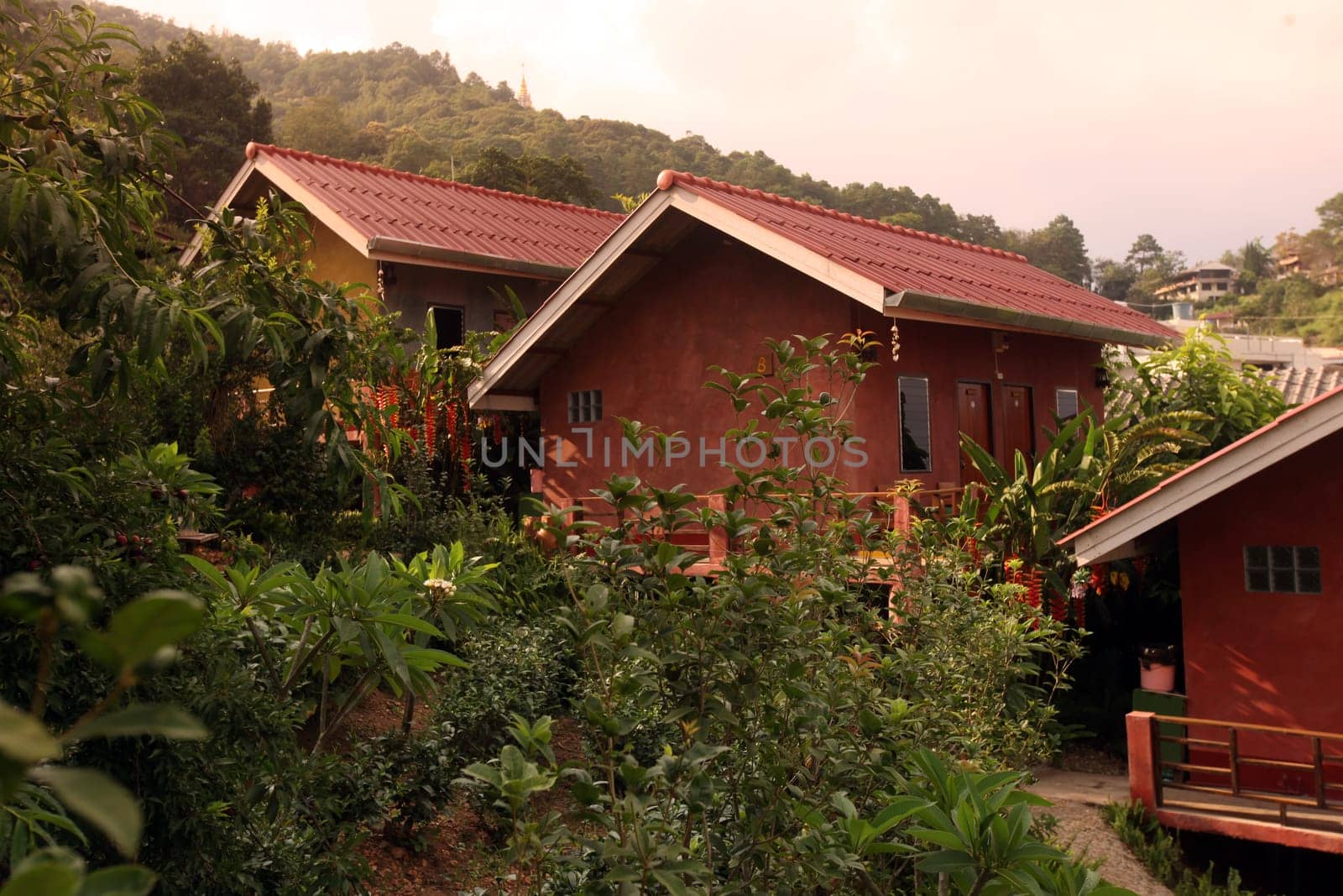 Hotel Bungalow im Bergdorf Mae Salong in der Huegellandschaft noerdlich von Chiang Rai in der Provinz Chiang Rai im Norden von Thailand in Suedostasien.