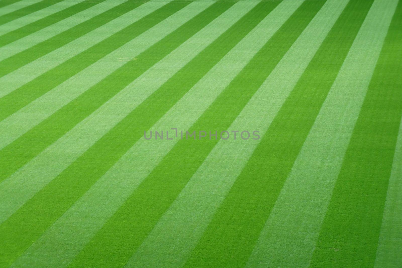 Football field with green lawn