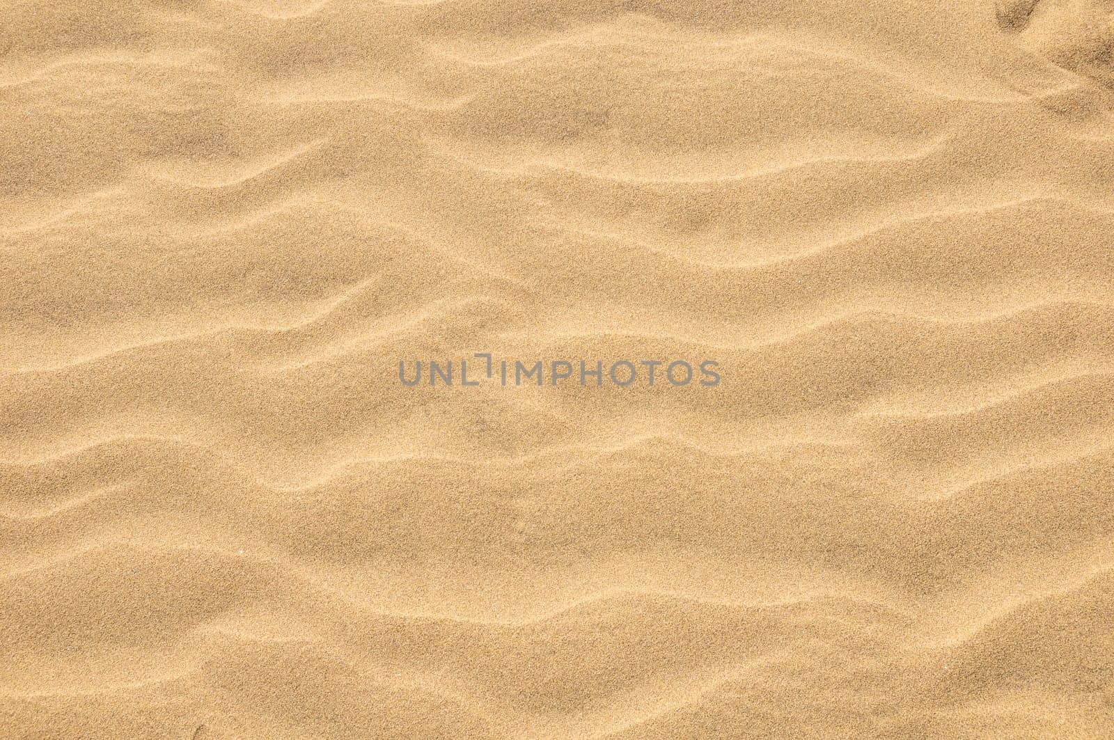 Texture Sand Dune Desert in Gran Canaria Island Spain