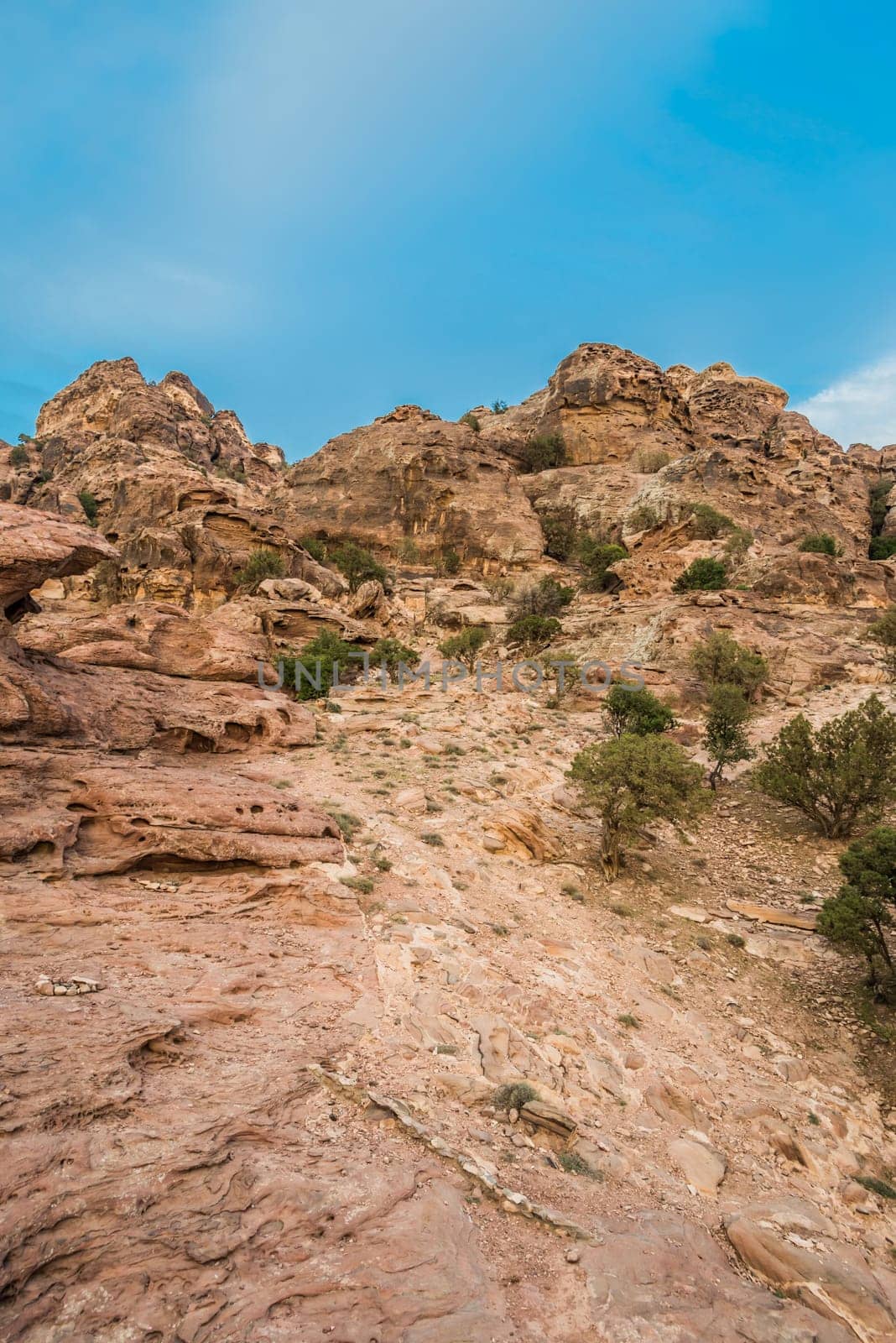 desert scenic near petra in jordan
