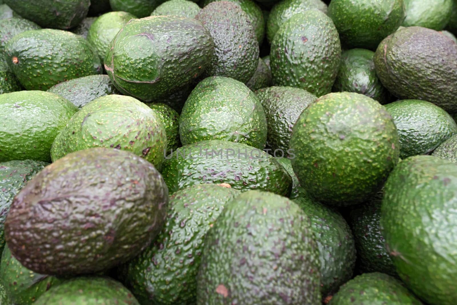 Detail of a set of avocados