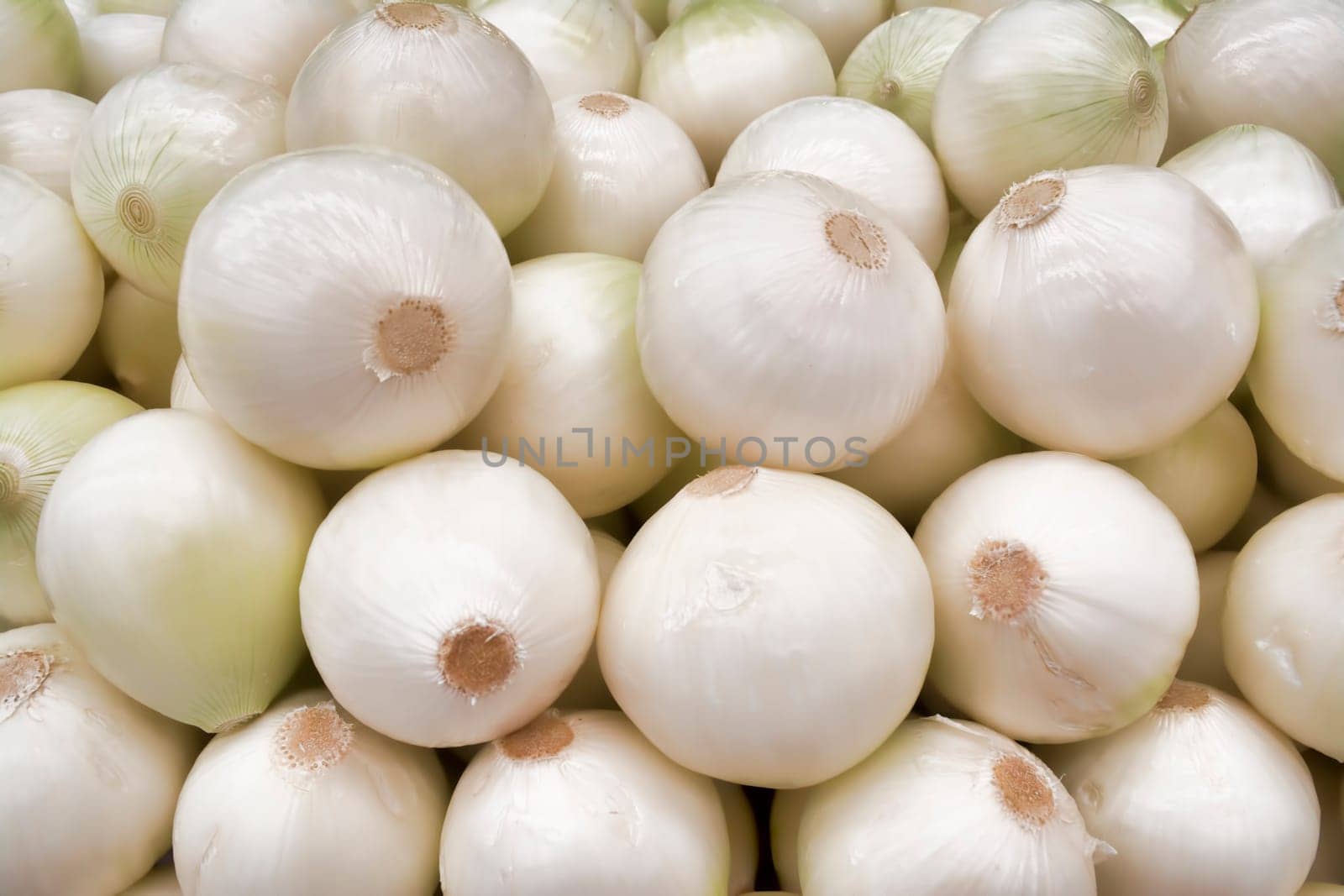 Approach to group of onions showing his details, textures and colors