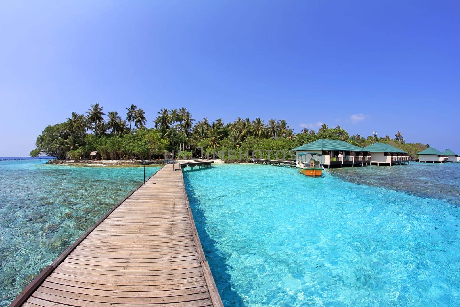 The Maldives Island