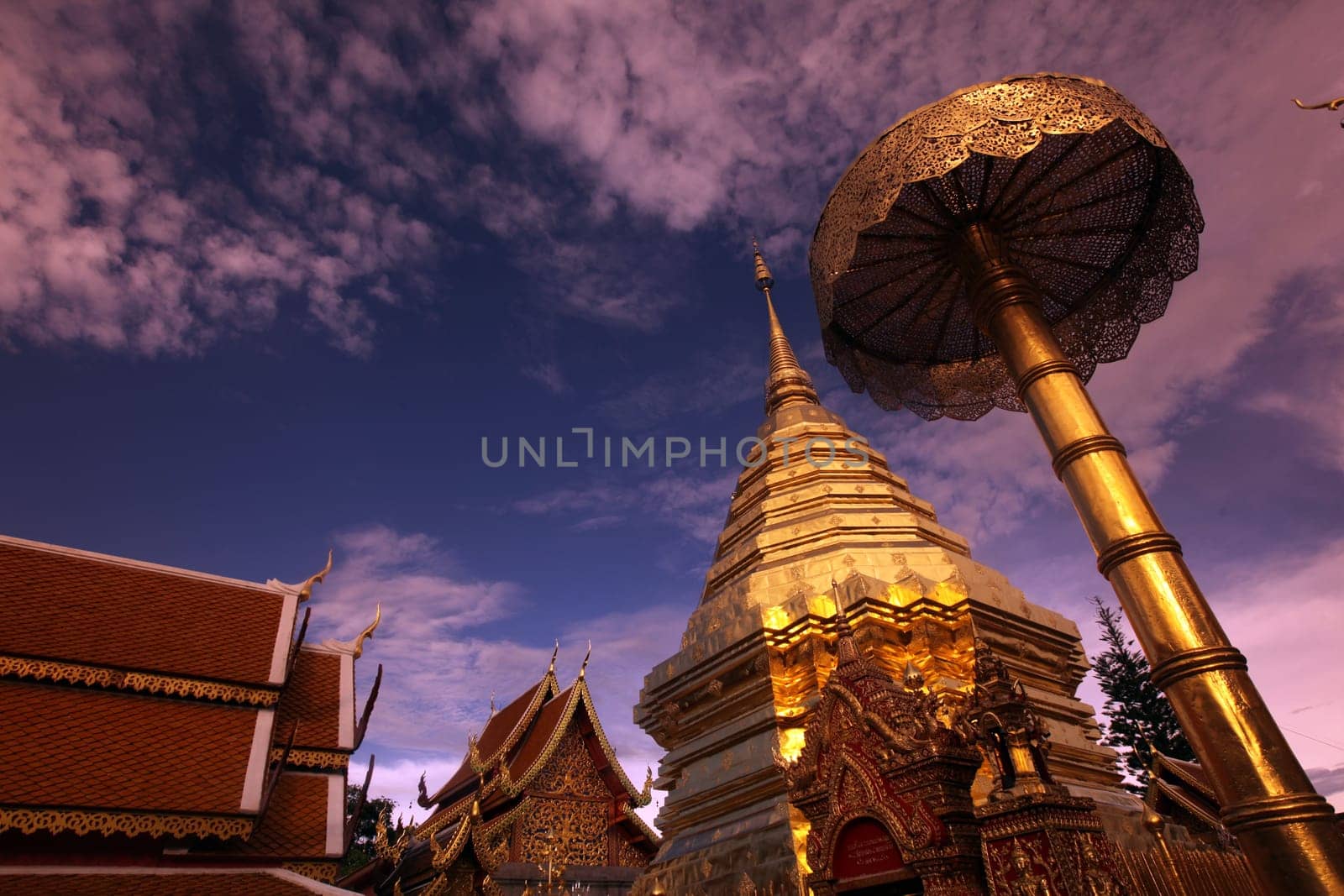 Der Chedi der Tempel Anlage des Wat Phra That Doi Suthep bei Chiang Mai in der Provinz Chiang Mai im Norden von Thailand in Suedostasien.