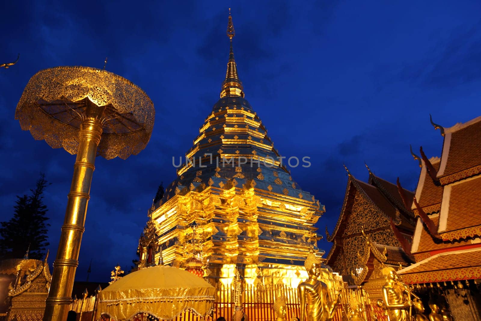 Der Chedi der Tempel Anlage des Wat Phra That Doi Suthep bei Chiang Mai in der Provinz Chiang Mai im Norden von Thailand in Suedostasien.