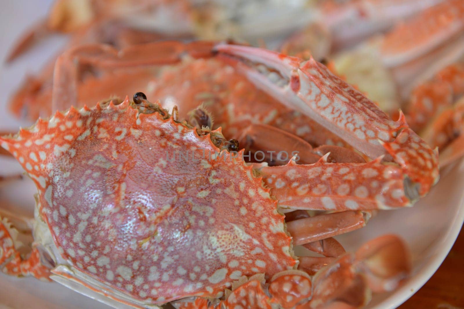 Crab at a seafood restaurant in the capital Phuket Town on the island of Phuket in the south of Thailand in South East Asia.