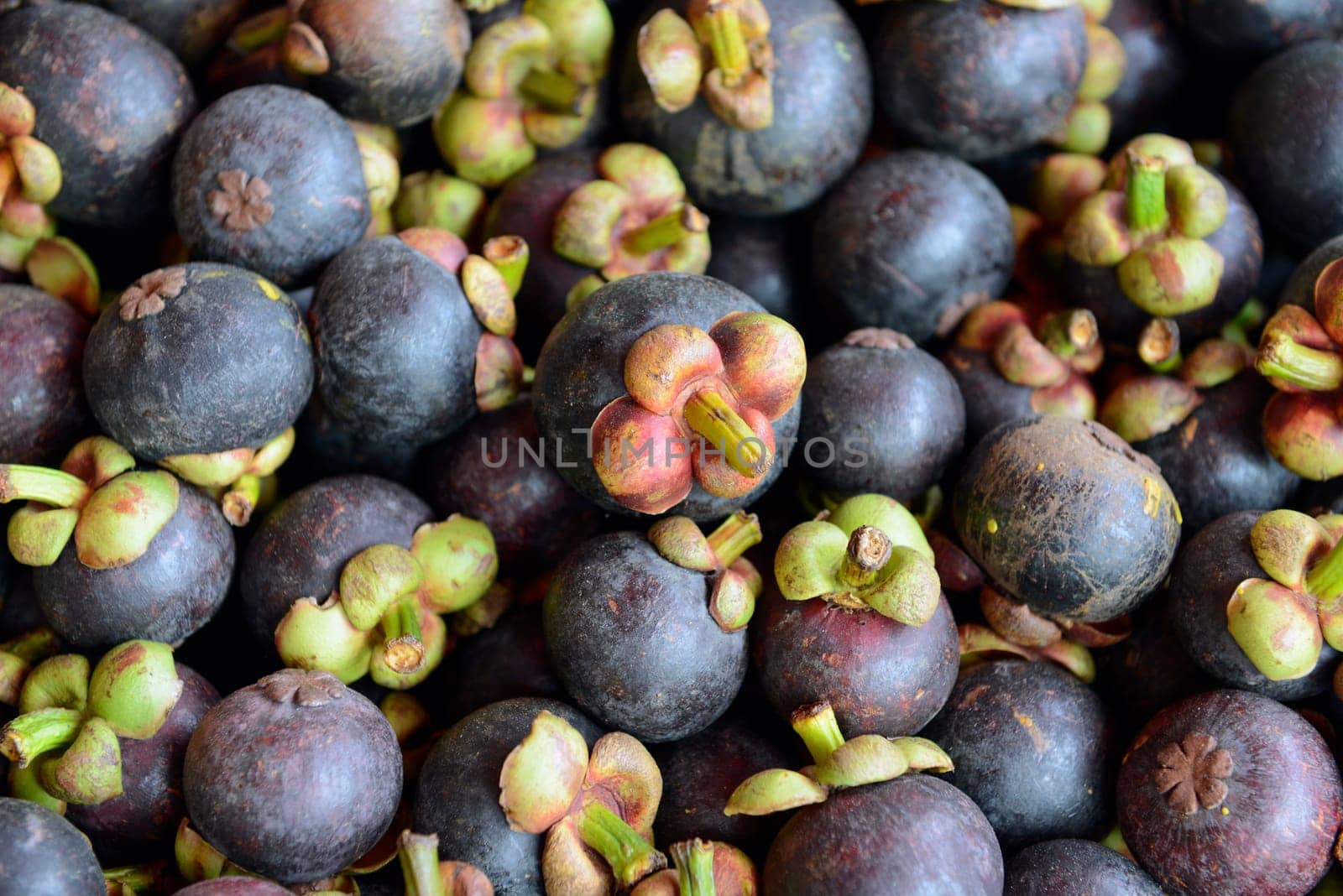 Mangostane Fruechte at a regional market on the island of Phuket in the south of Thailand in South East Asia.