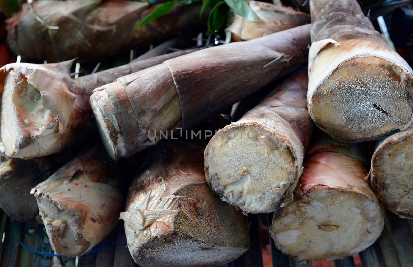 Bamboo at a regional market on the island of Phuket in the south of Thailand in South East Asia.