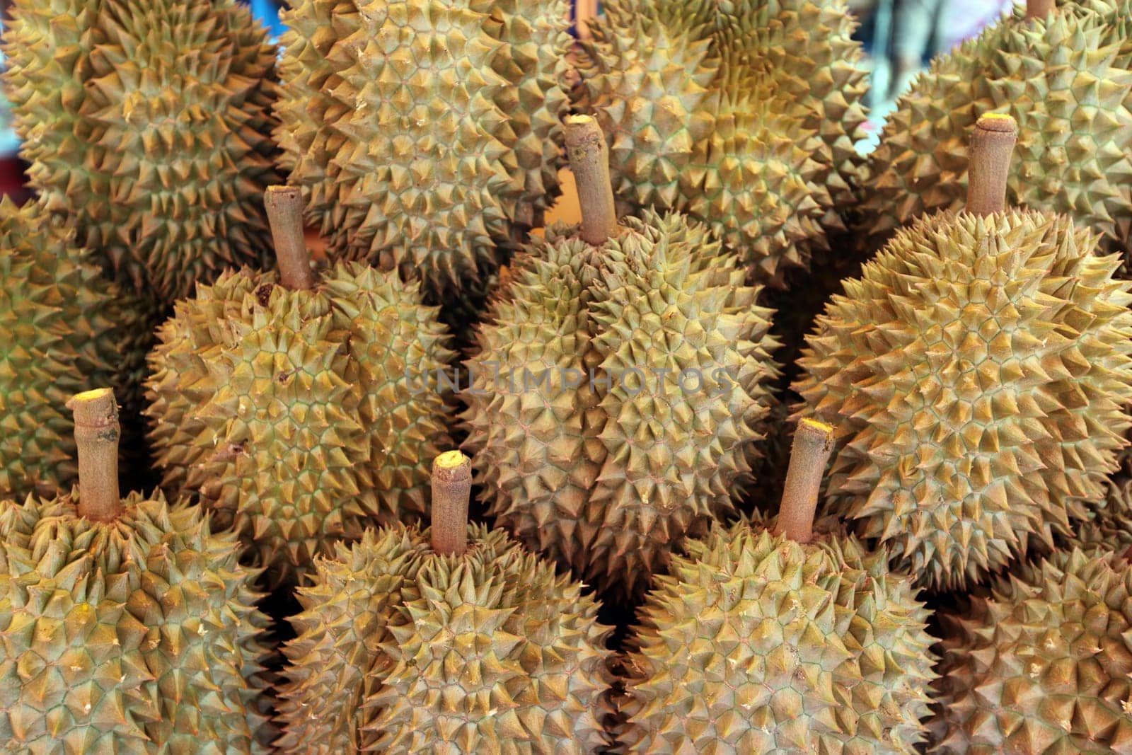 The market in the provincial capital Amnat Charoen in the province of Amnat Charoen in the Isan in northeastern Thailand.