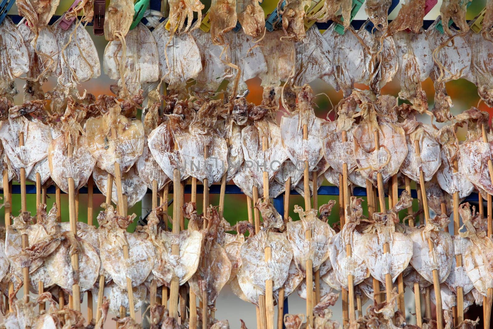 Getrocknete Tintenfische auf dem Markt beim Bun Bang Fai oder Rocket Festival in Yasothon im Isan im Nordosten von Thailand.