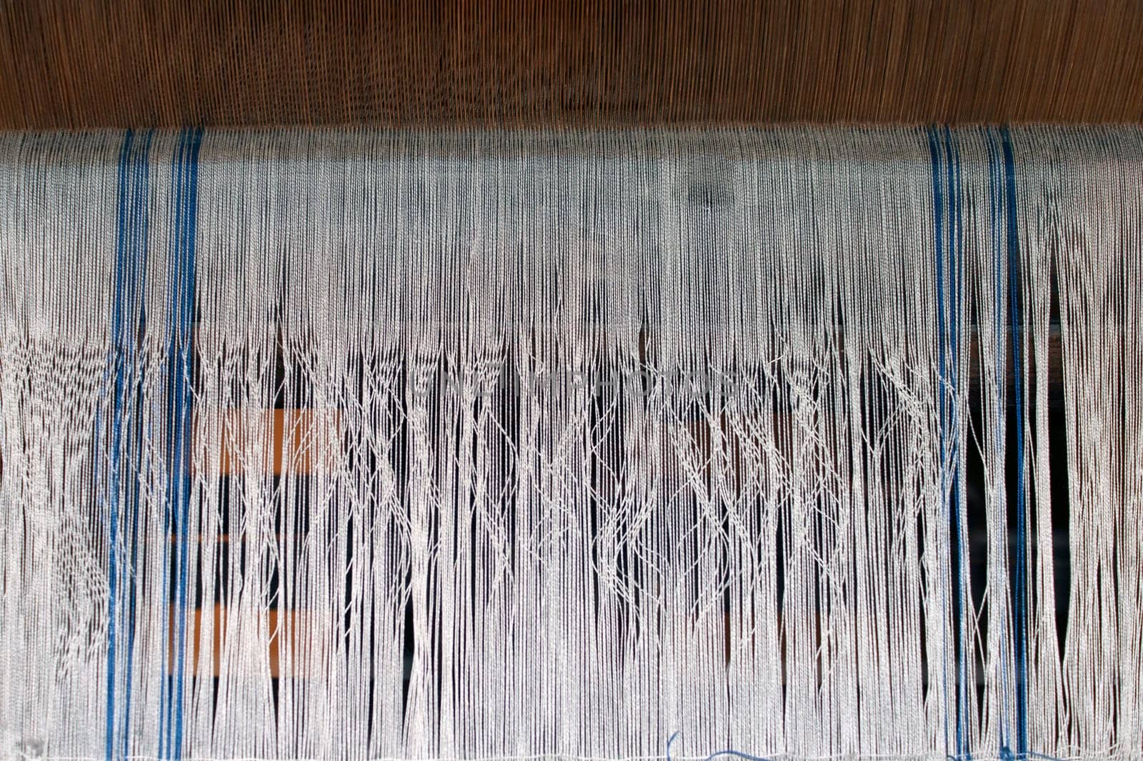 The photograph of parallel fabric threads in a loom.