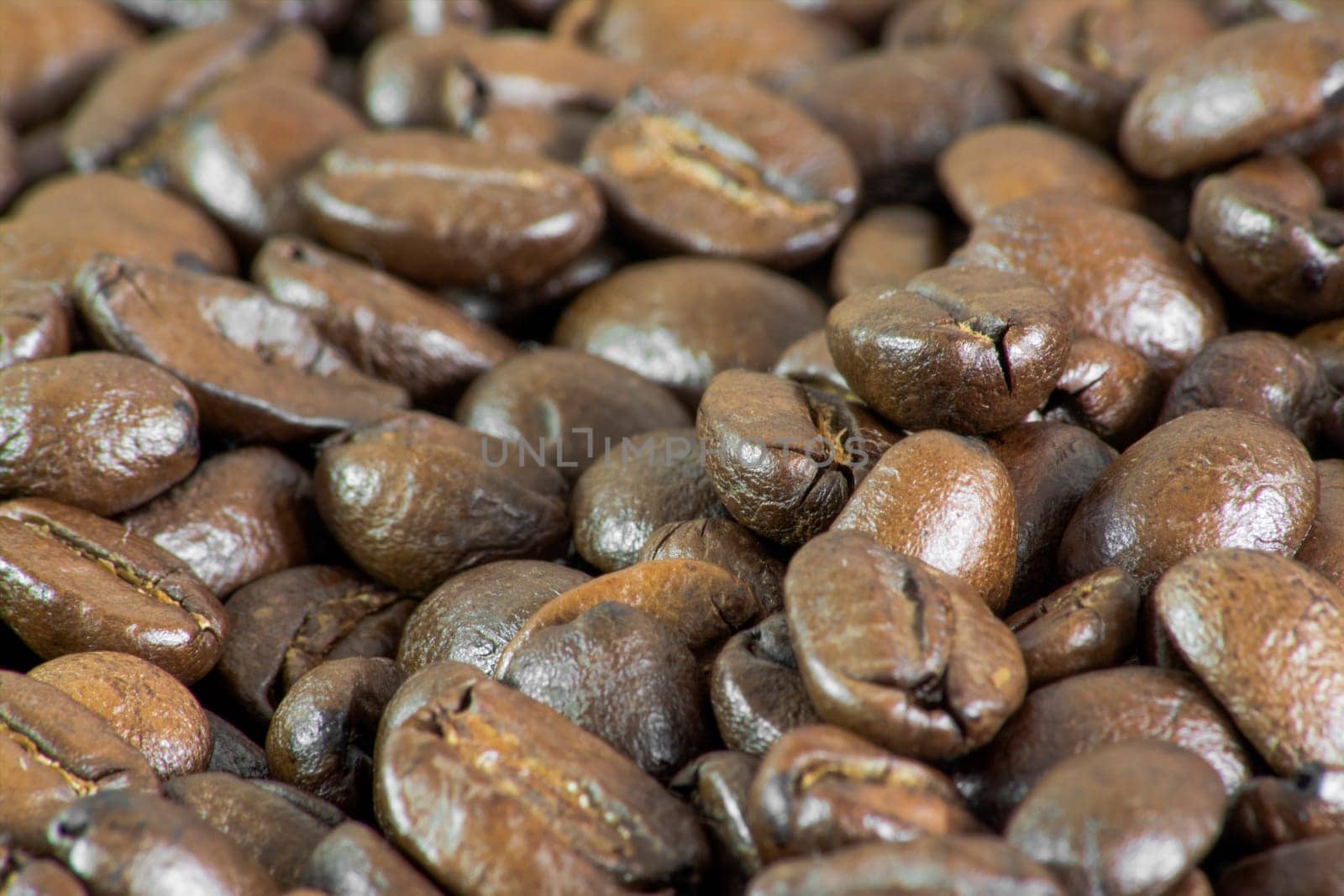 Details of coffee beans.