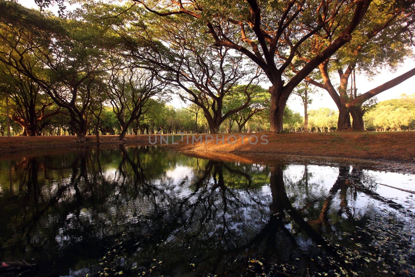 The landscape at Wat Mahathat Temple in the temple complex of Alt-Sukhothai in Sukhothai Province in northern Thailand in South East Asia.