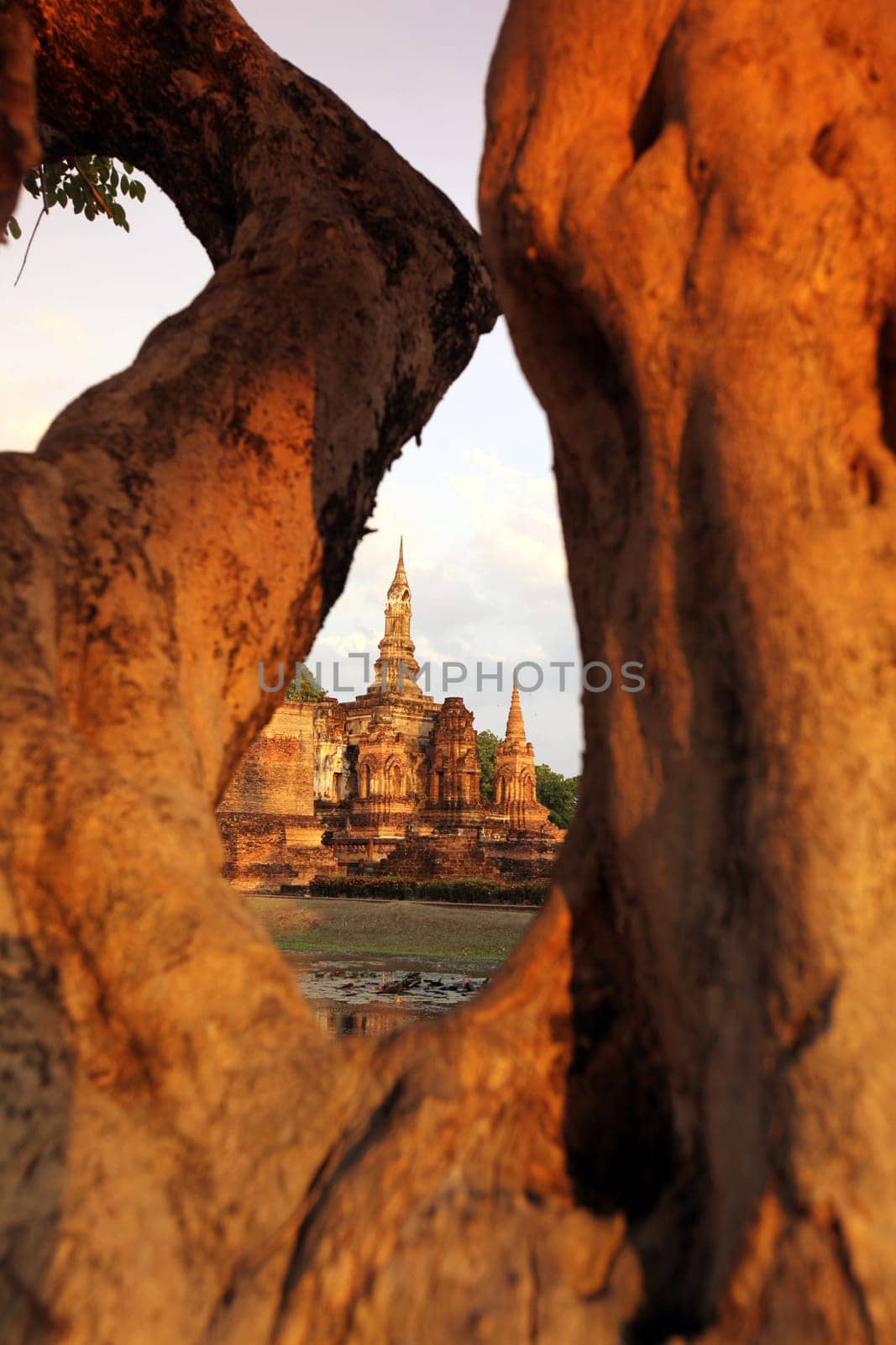 The Wat Mahathat Temple in the temple complex of Alt-Sukhothai in the province of Sukhothai in the north of Thailand in South East Asia.