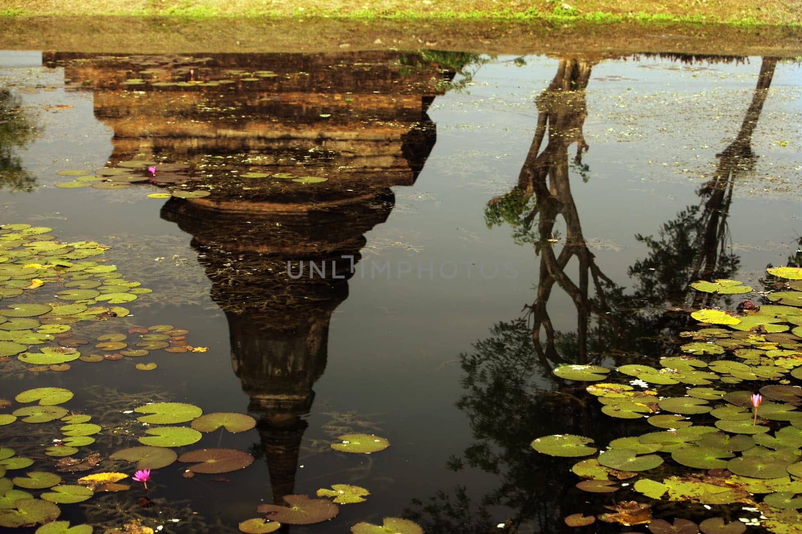 A chedi at the Wat Mahathat Temple in the temple complex of Alt-Sukhothai in Sukhothai province in northern Thailand in South East Asia.
