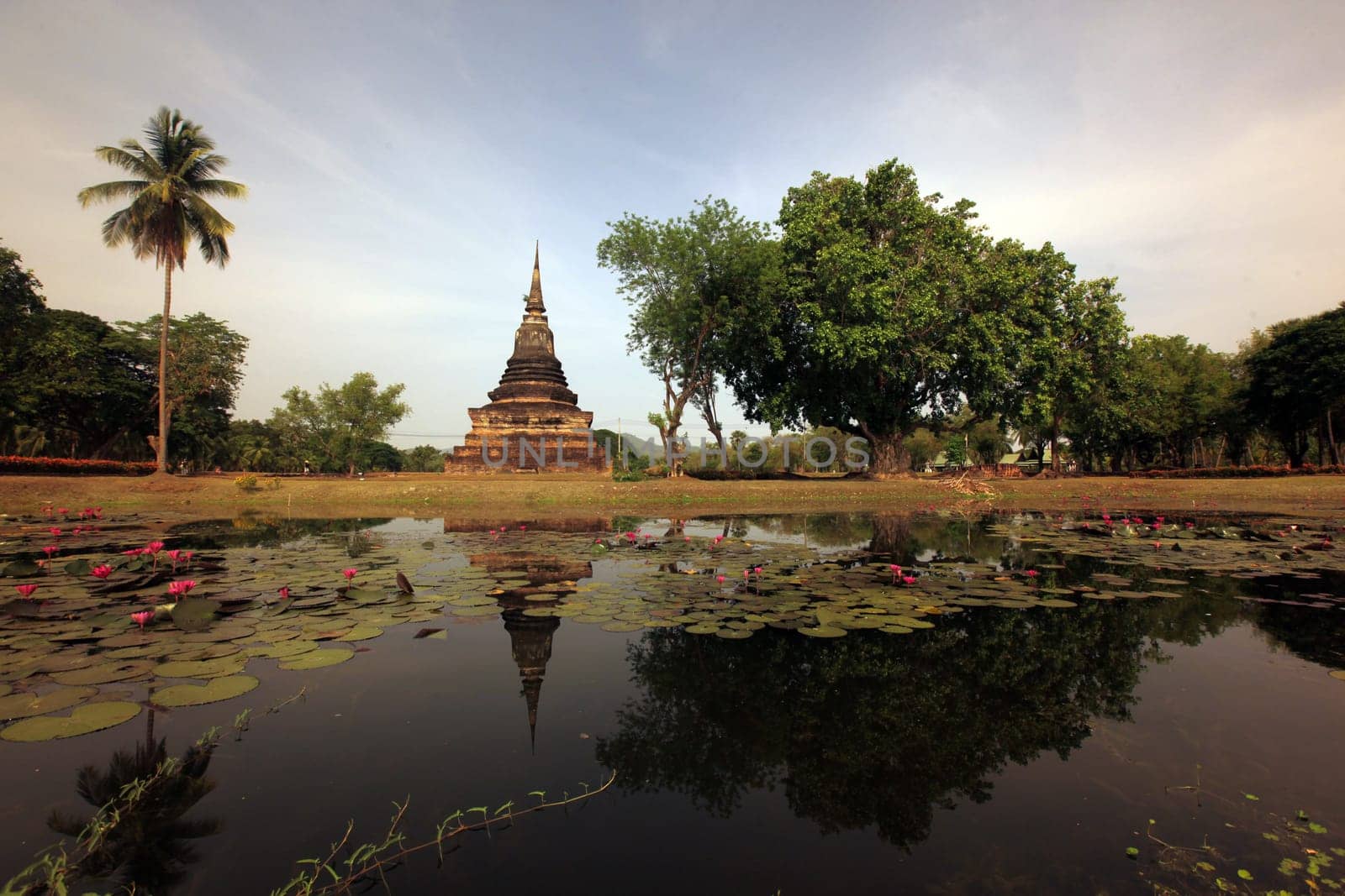 A chedi at the Wat Mahathat Temple in the temple complex of Alt-Sukhothai in Sukhothai province in northern Thailand in South East Asia.