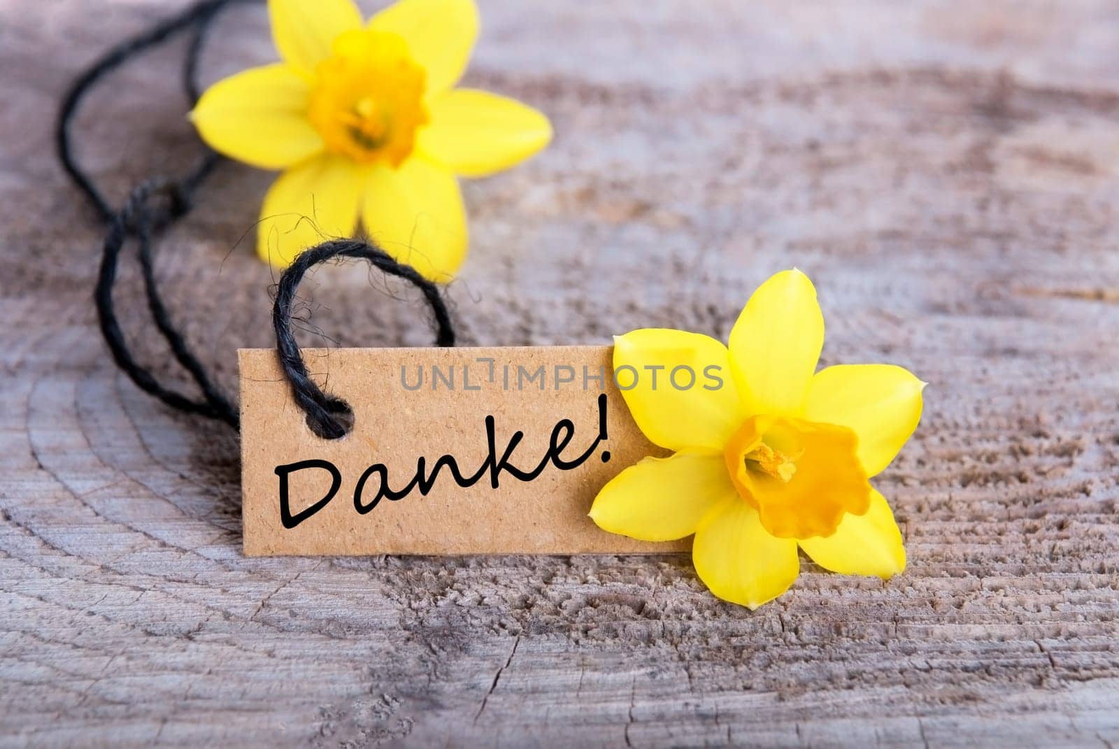 Label with the german word Danke which means Thanks