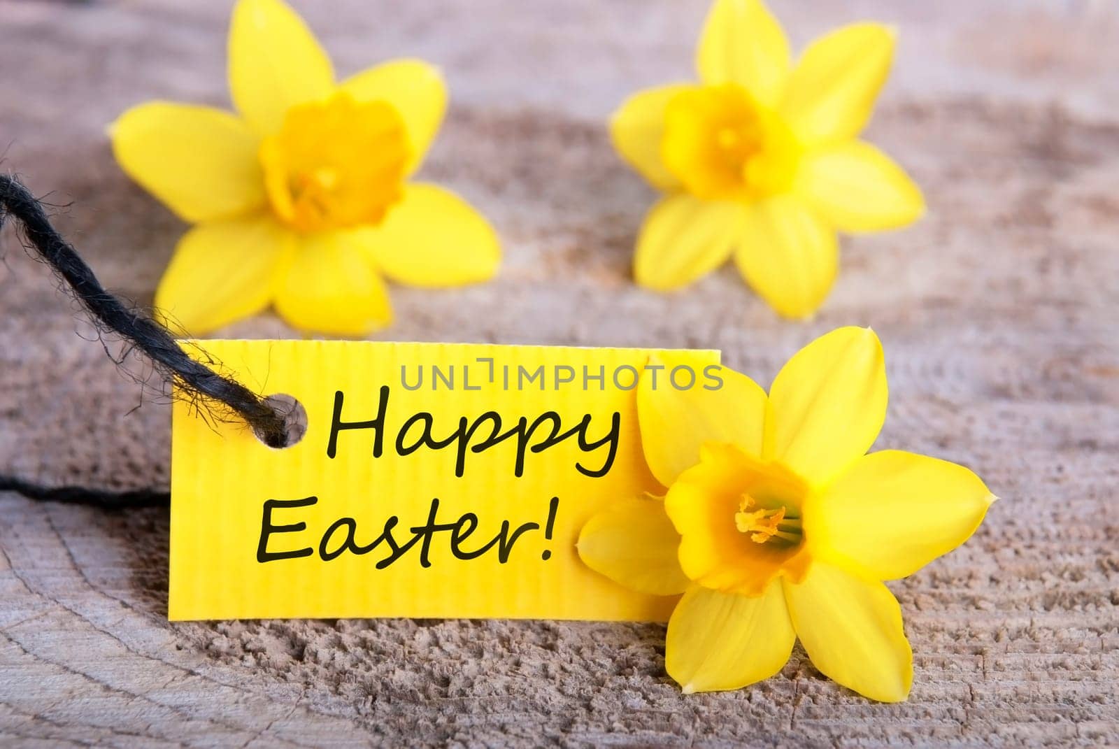 Label with Happy Easter with Narcisses, yellow Easter Background