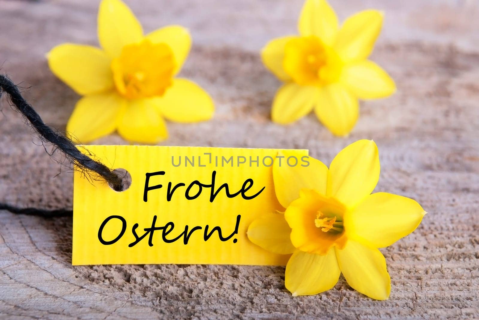 Label with the German Words Frohe Ostern which means Happy Easter