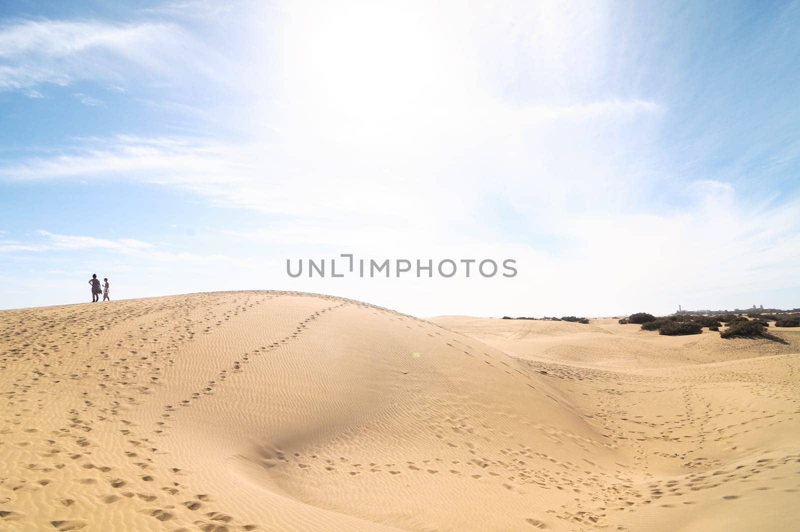 Texture Sand Dune Desert in Gran Canaria Island Spain