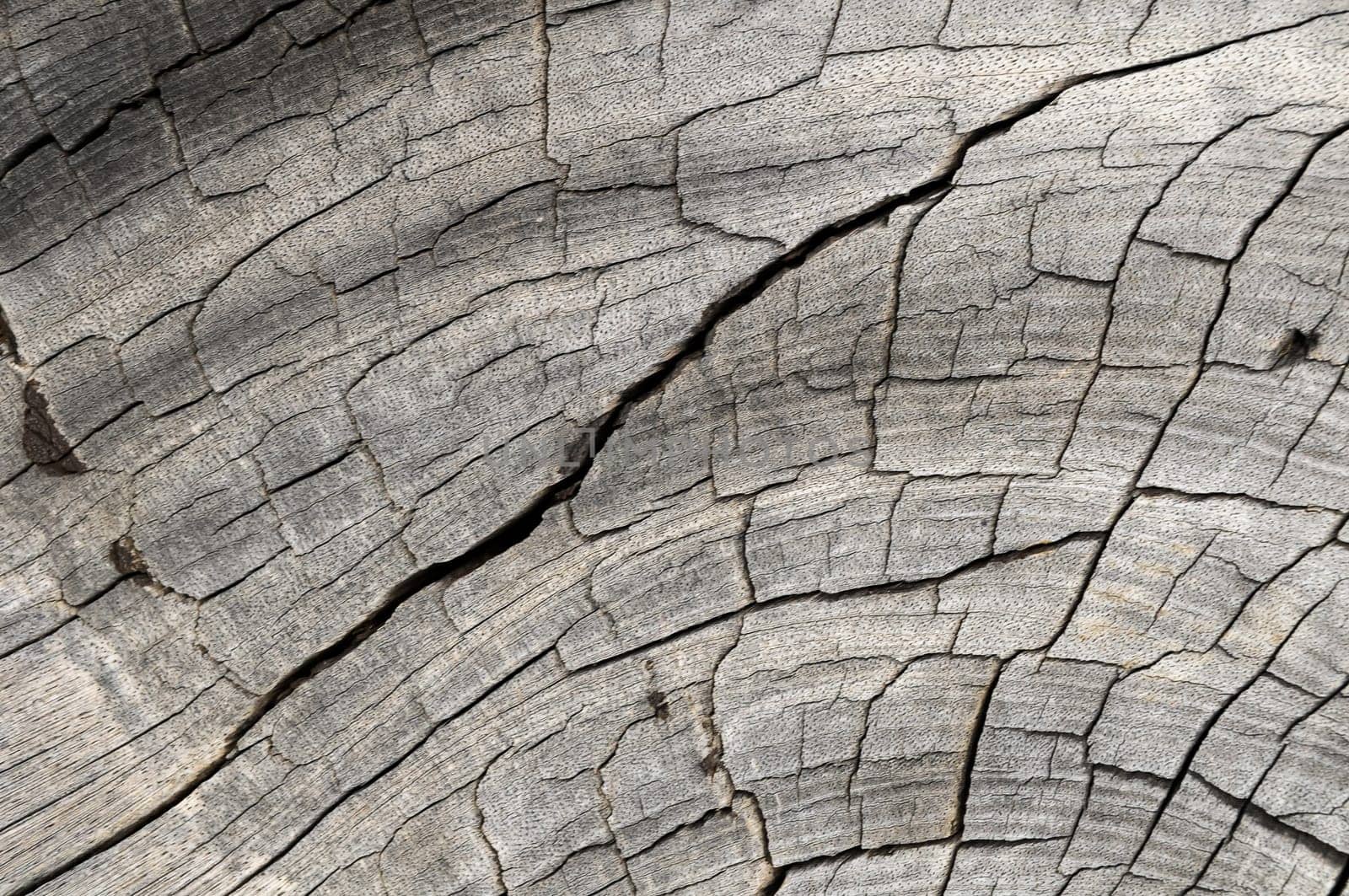 Old Vintage Architecture Wood Pattern Trunk Texture